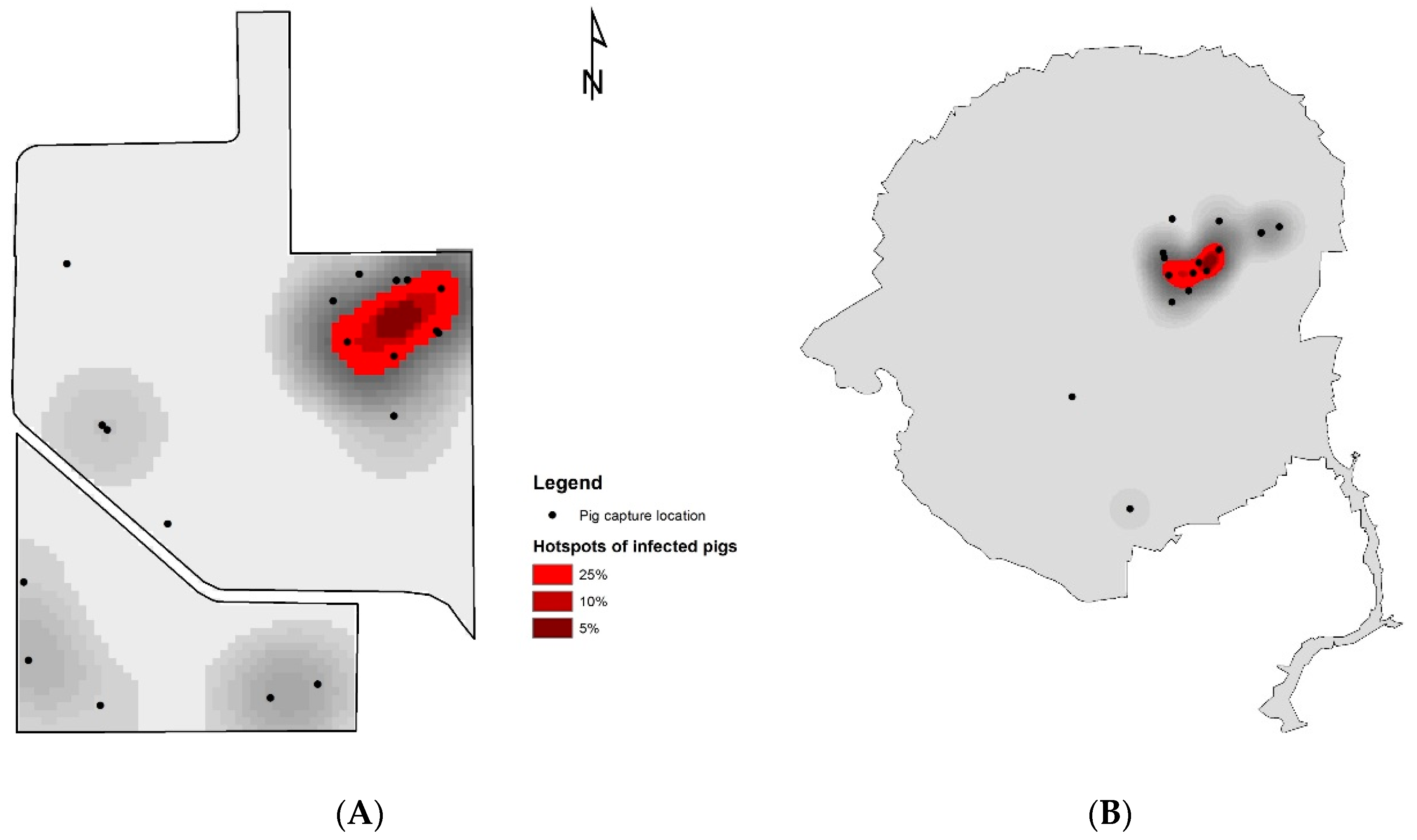 Viruses 16 01397 g002