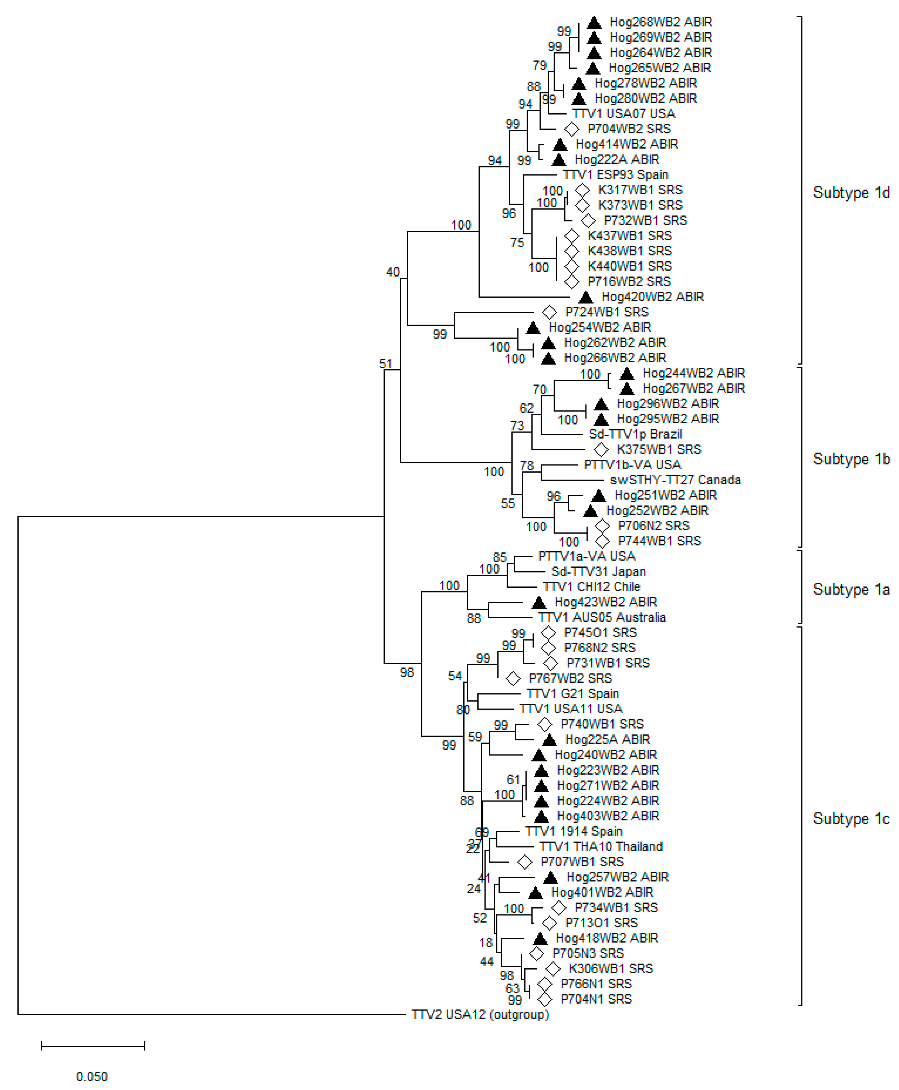 Viruses 16 01397 g005