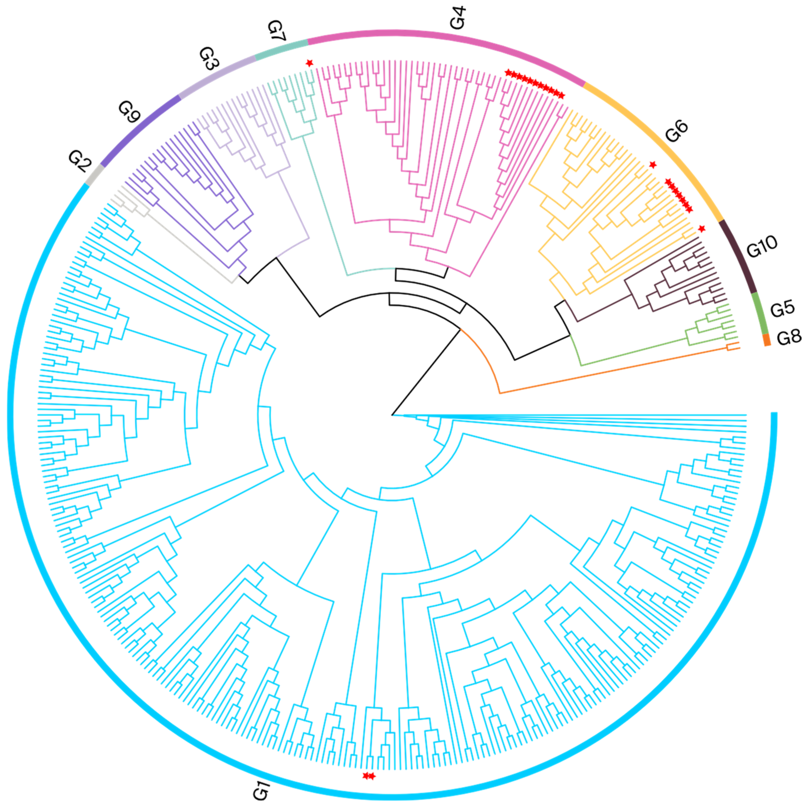 Viruses 16 01399 g002