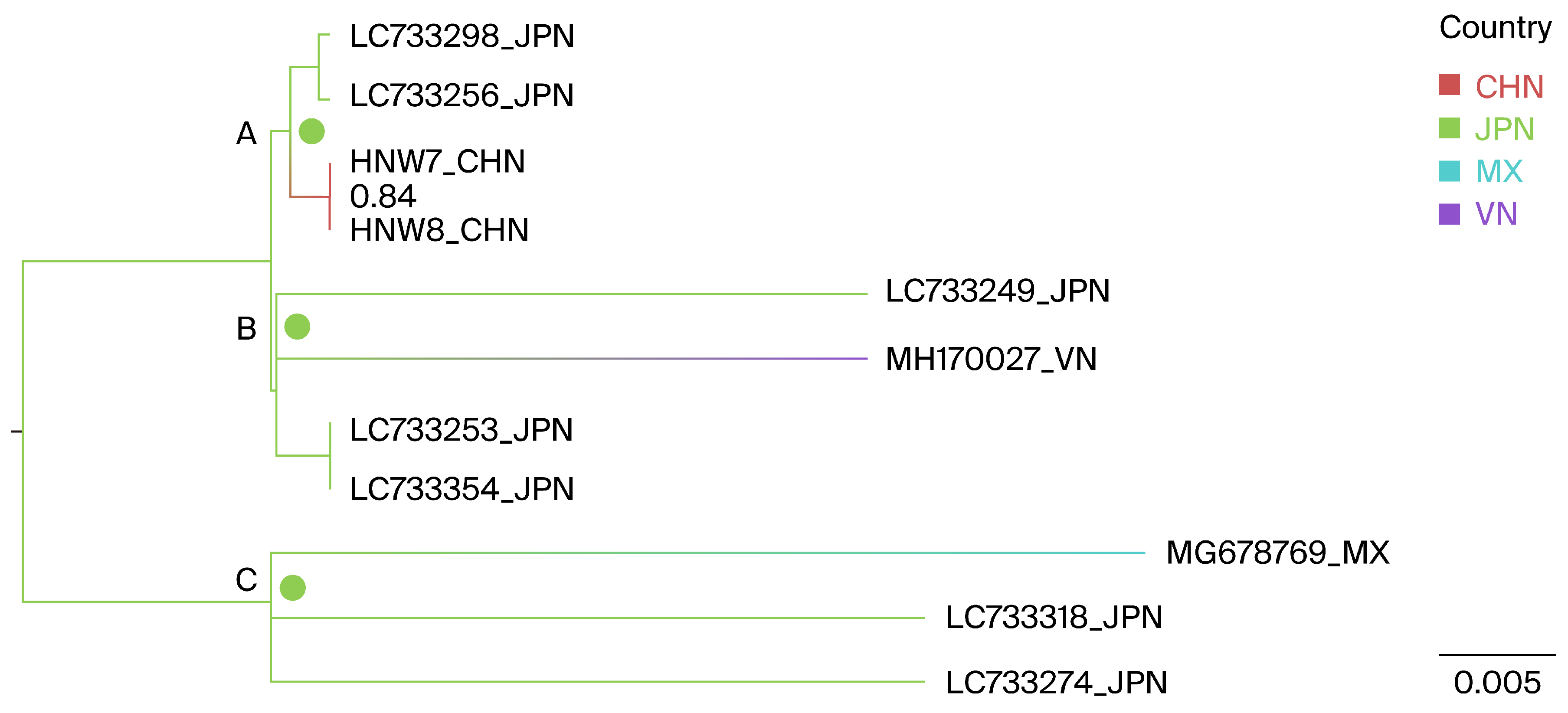 Viruses 16 01399 g004