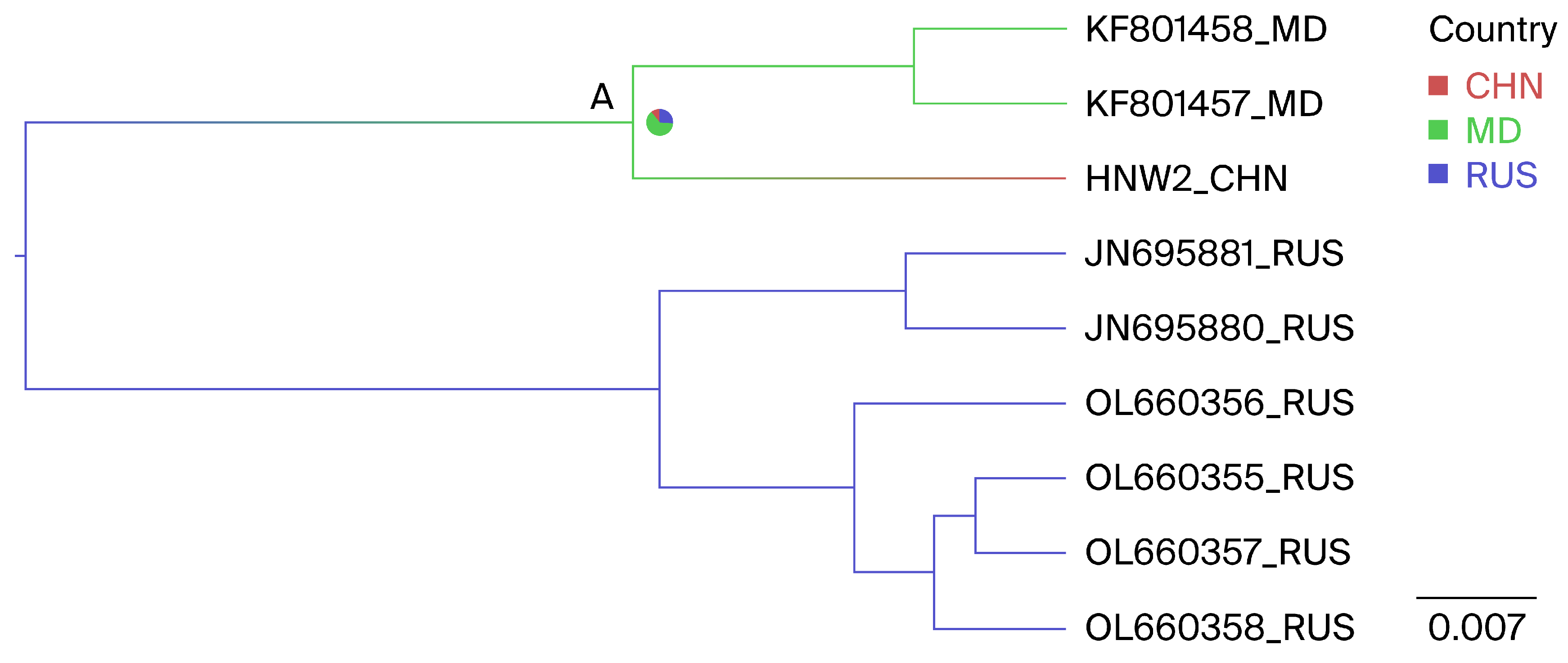 Viruses 16 01399 g005