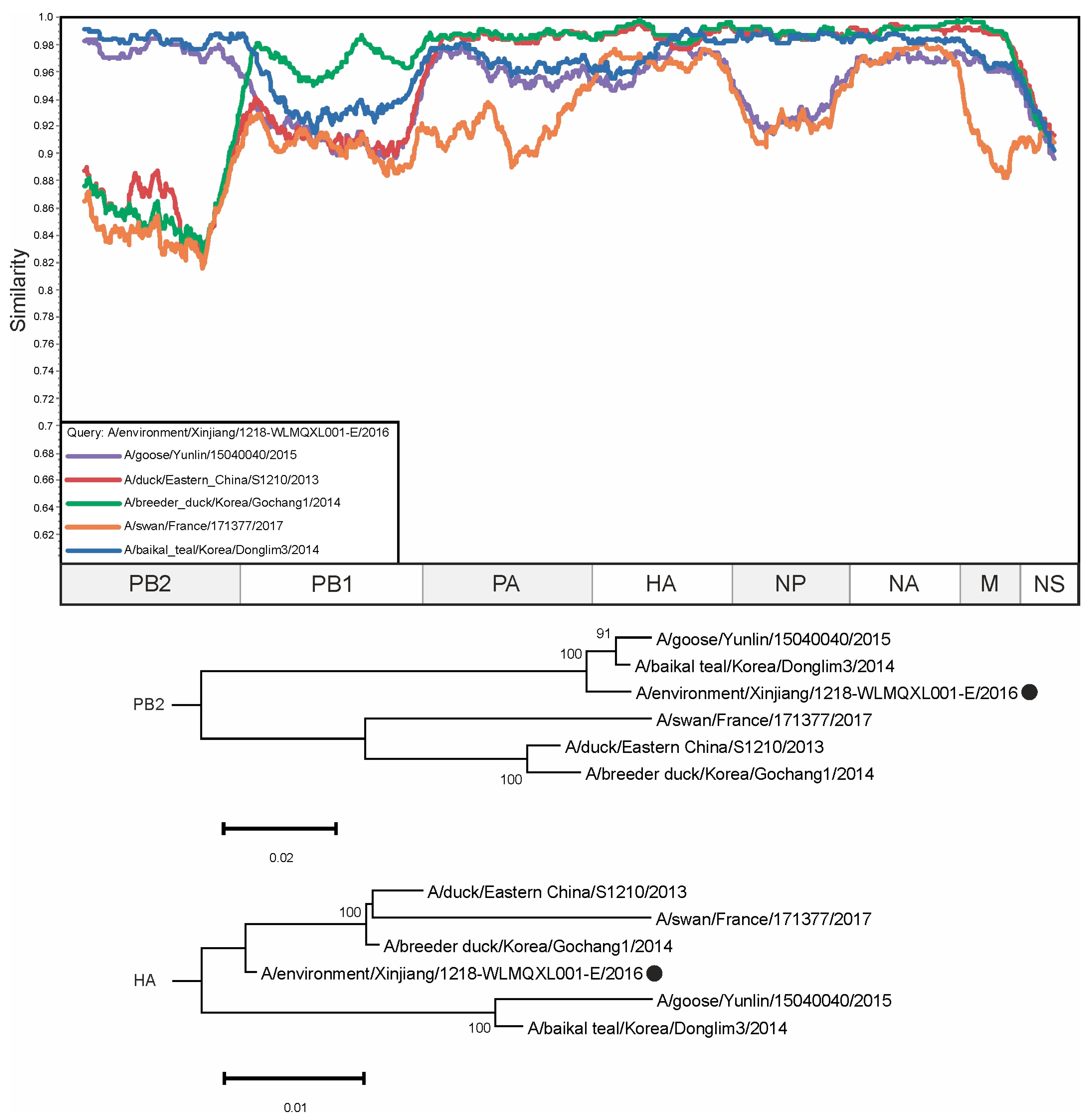 Viruses 16 01405 g003