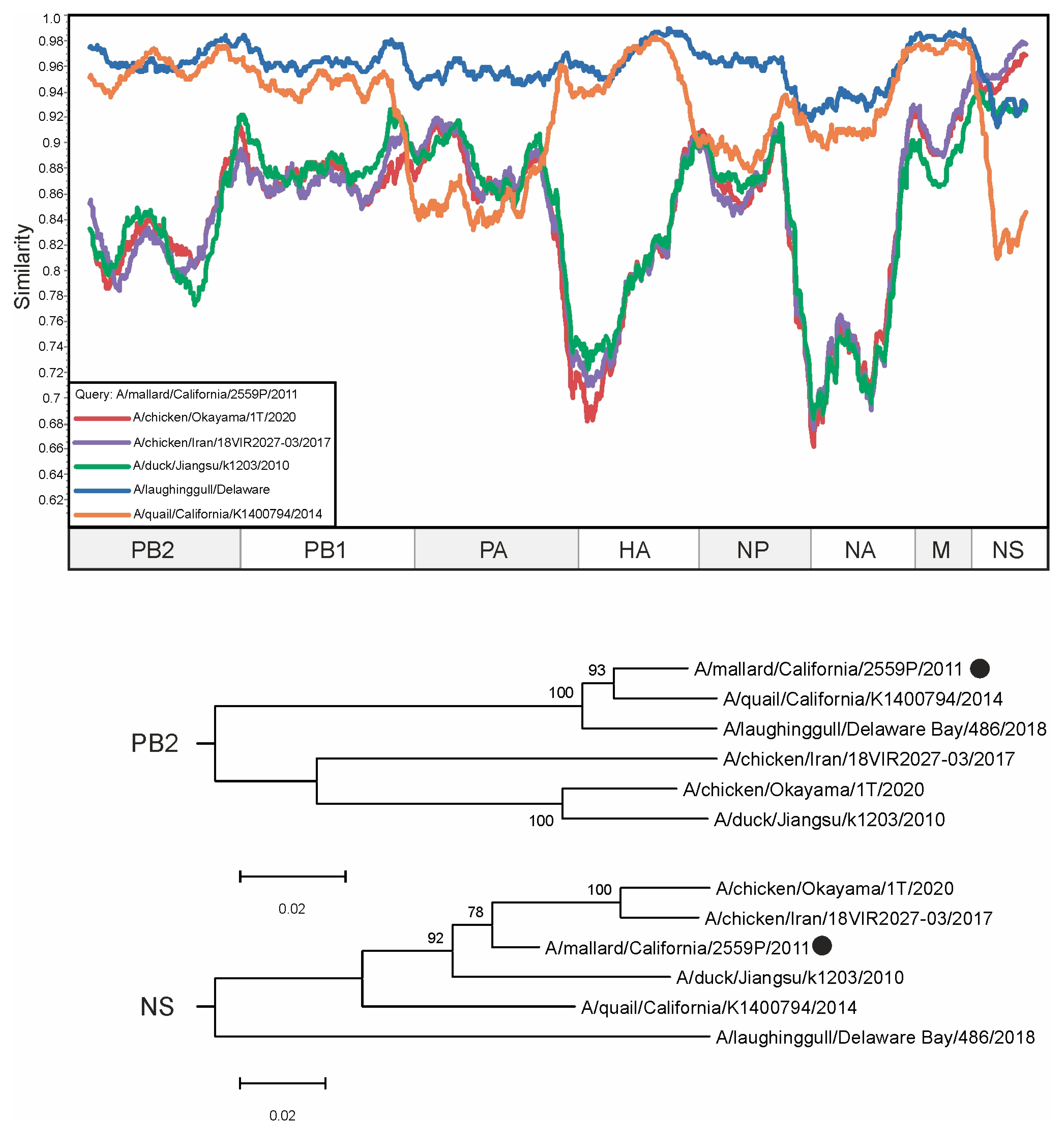 Viruses 16 01405 g005