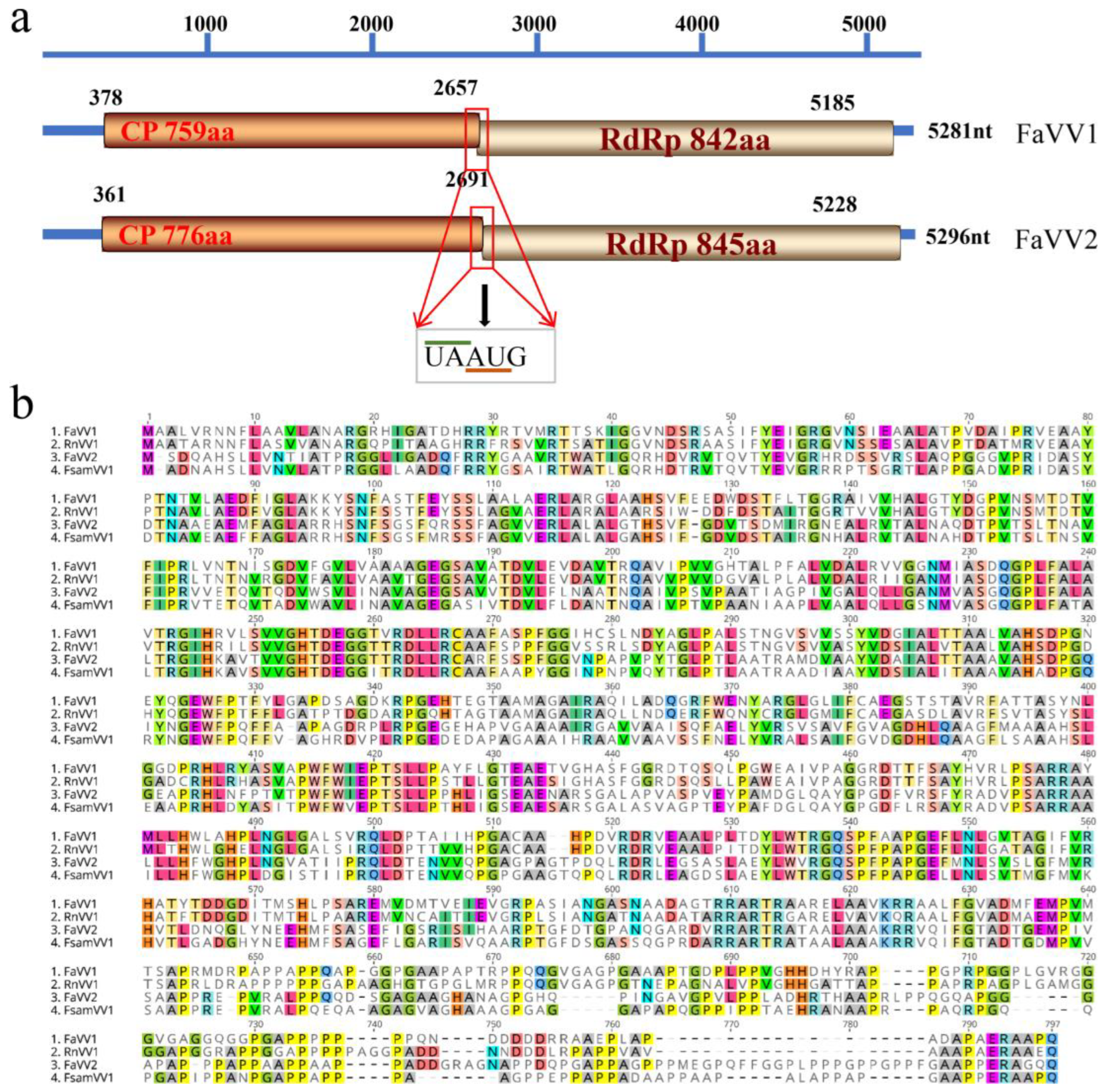 Viruses 16 01424 g001