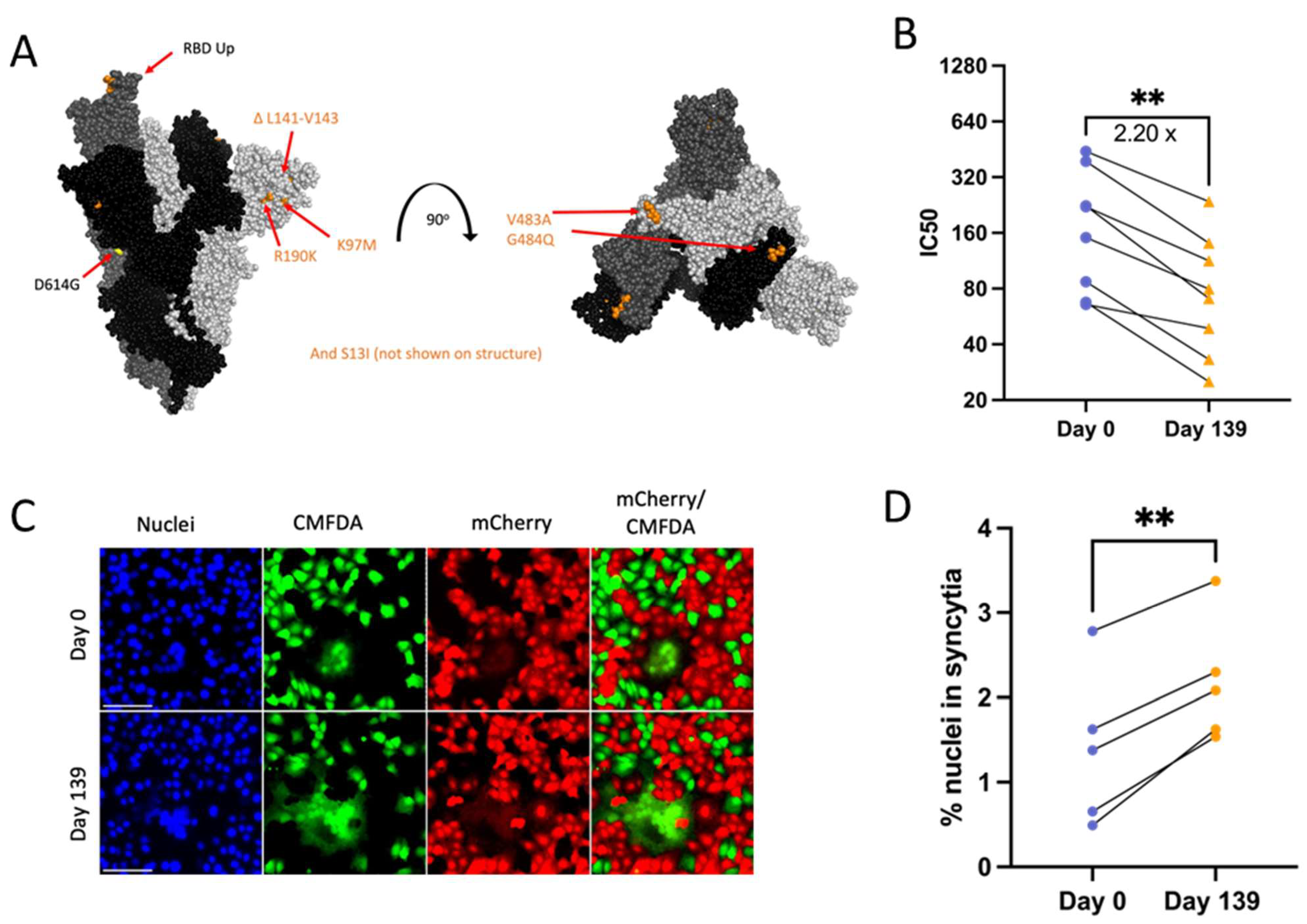 Viruses 16 01436 g006