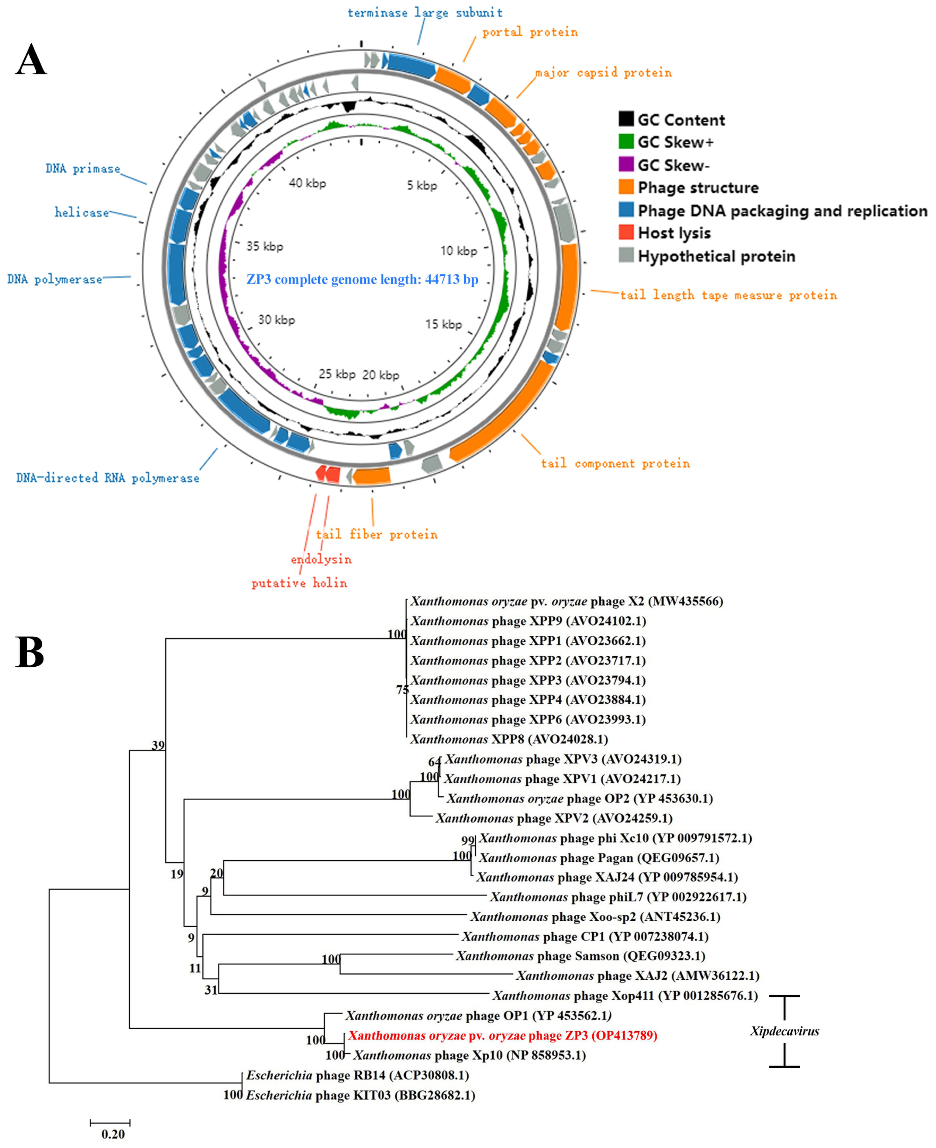 Viruses 16 01450 g003