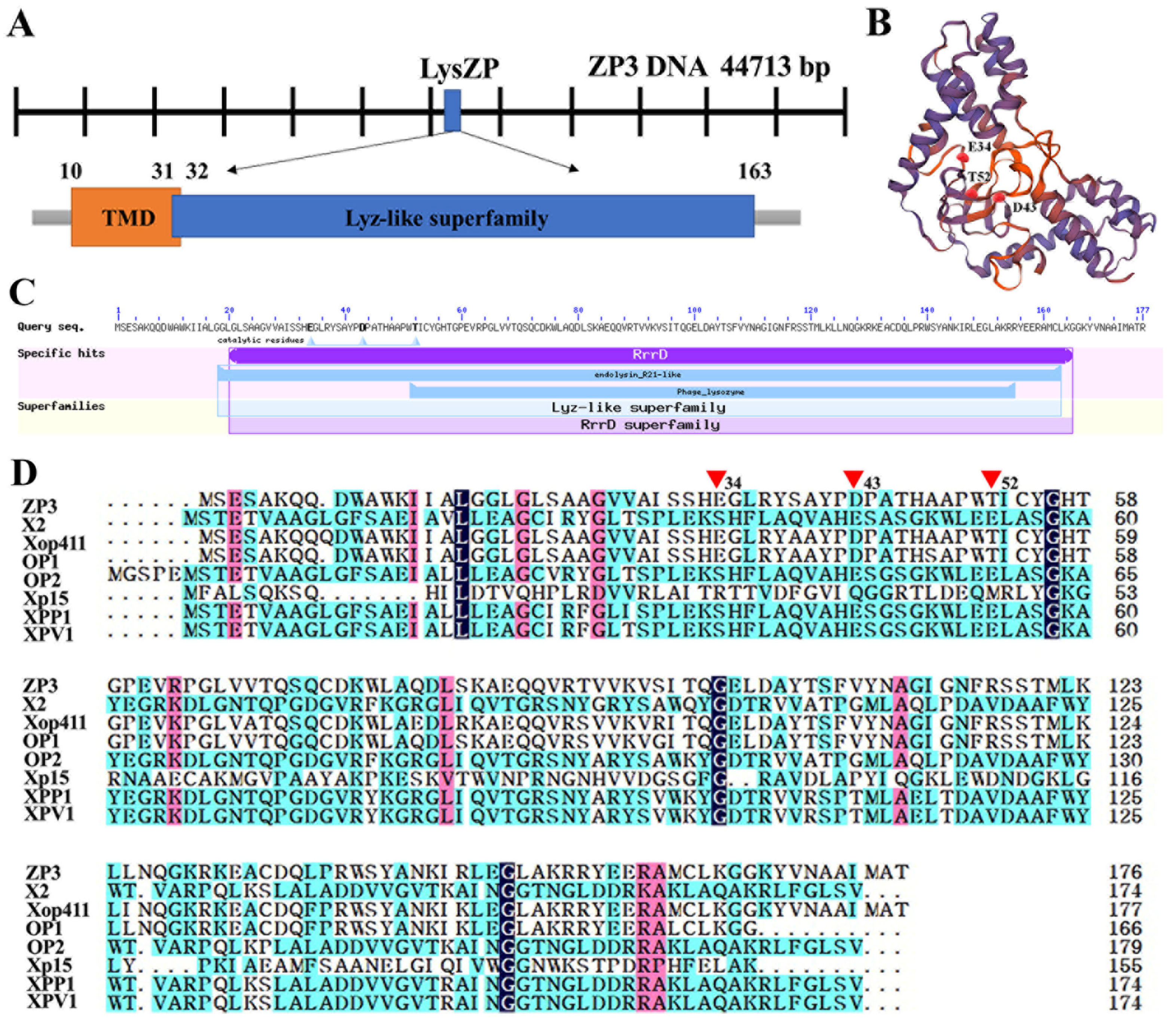 Viruses 16 01450 g004