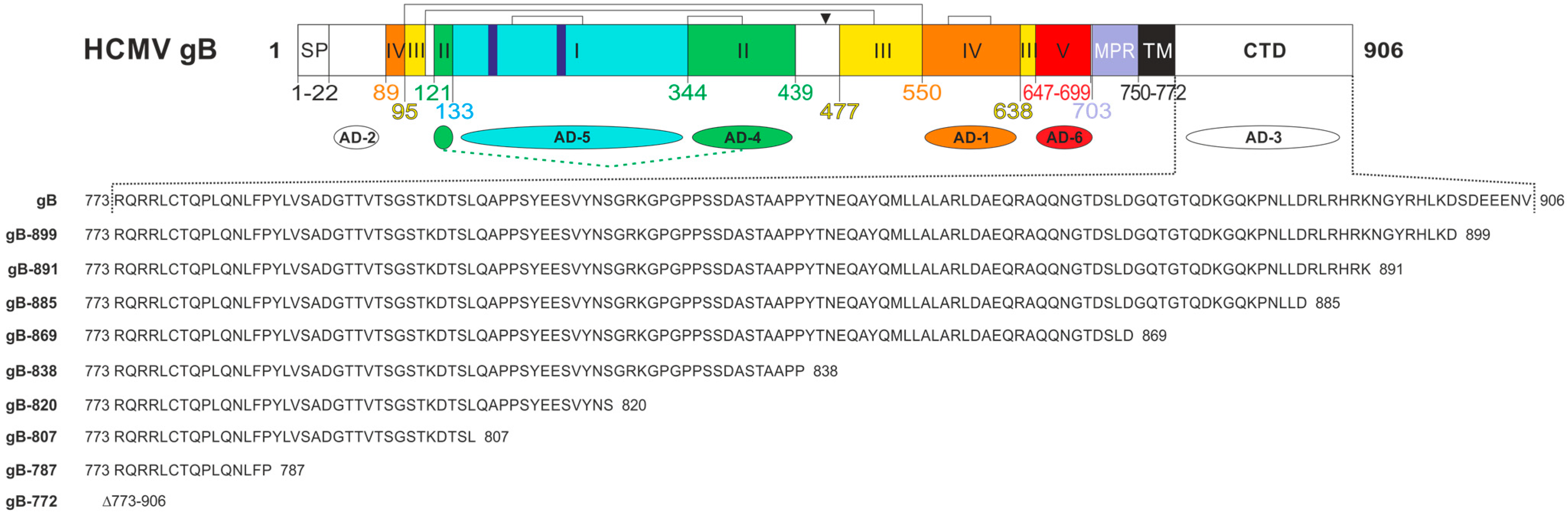 Viruses 16 01482 g001