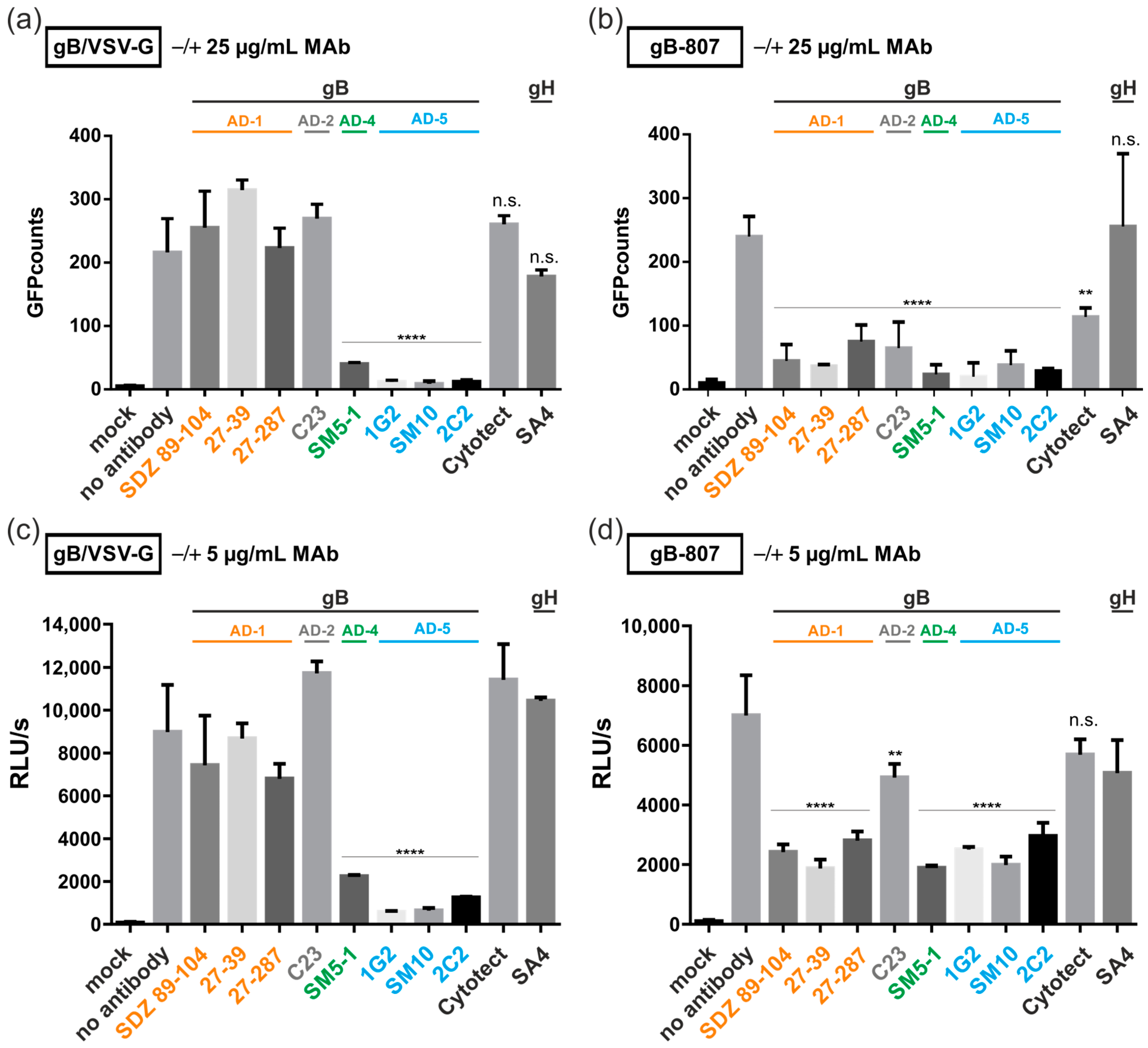 Viruses 16 01482 g005