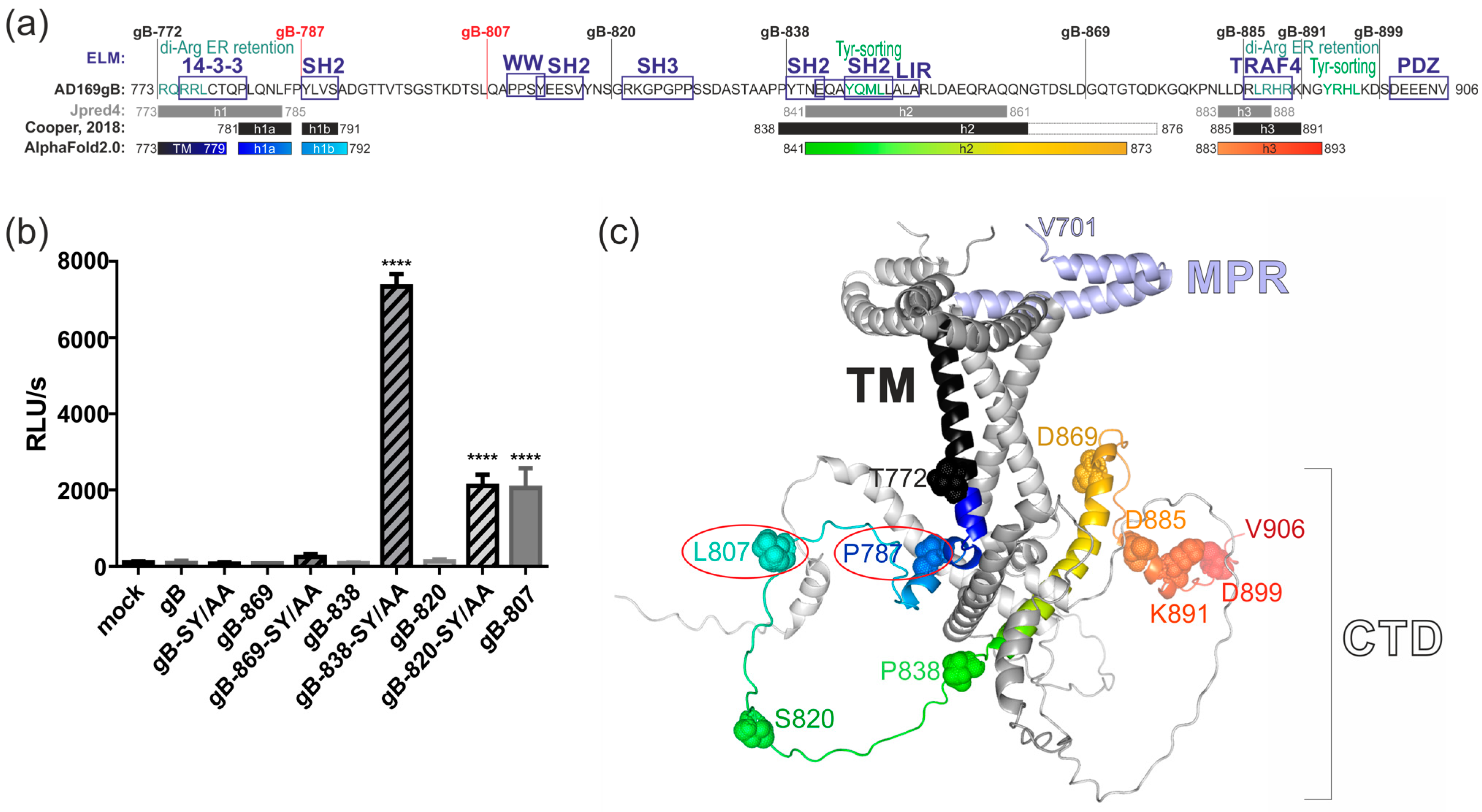 Viruses 16 01482 g006