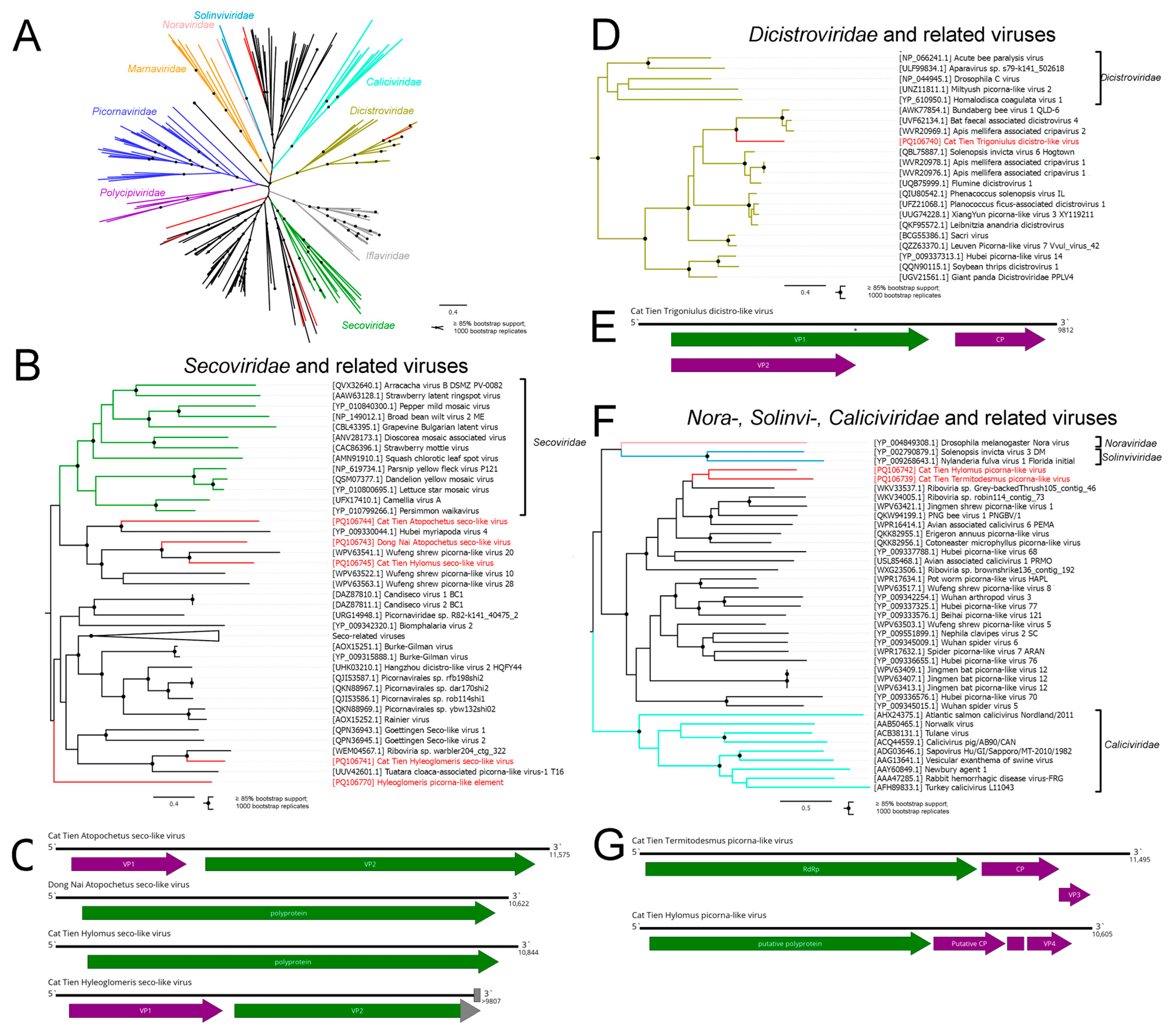 Viruses 16 01486 g002
