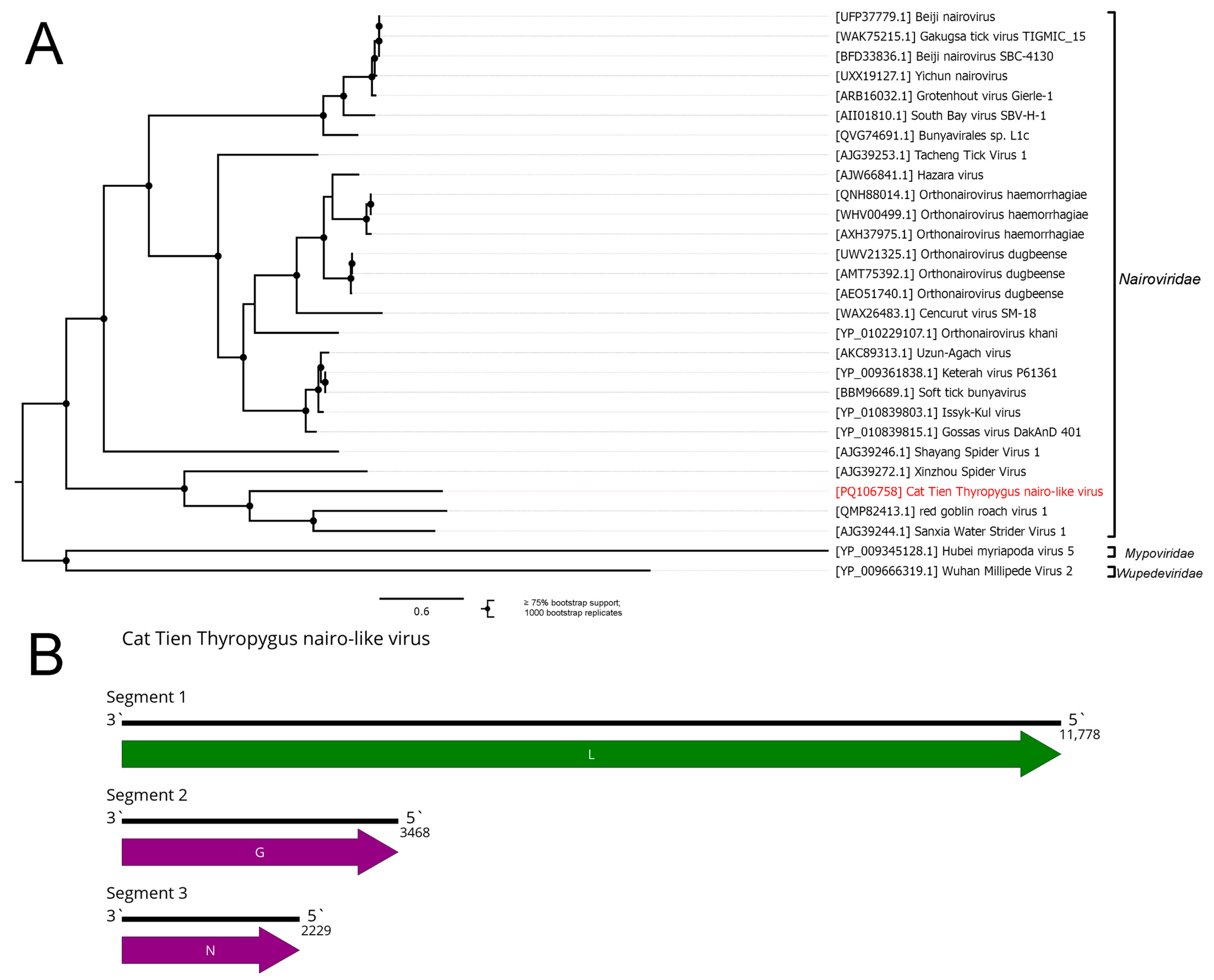 Viruses 16 01486 g004