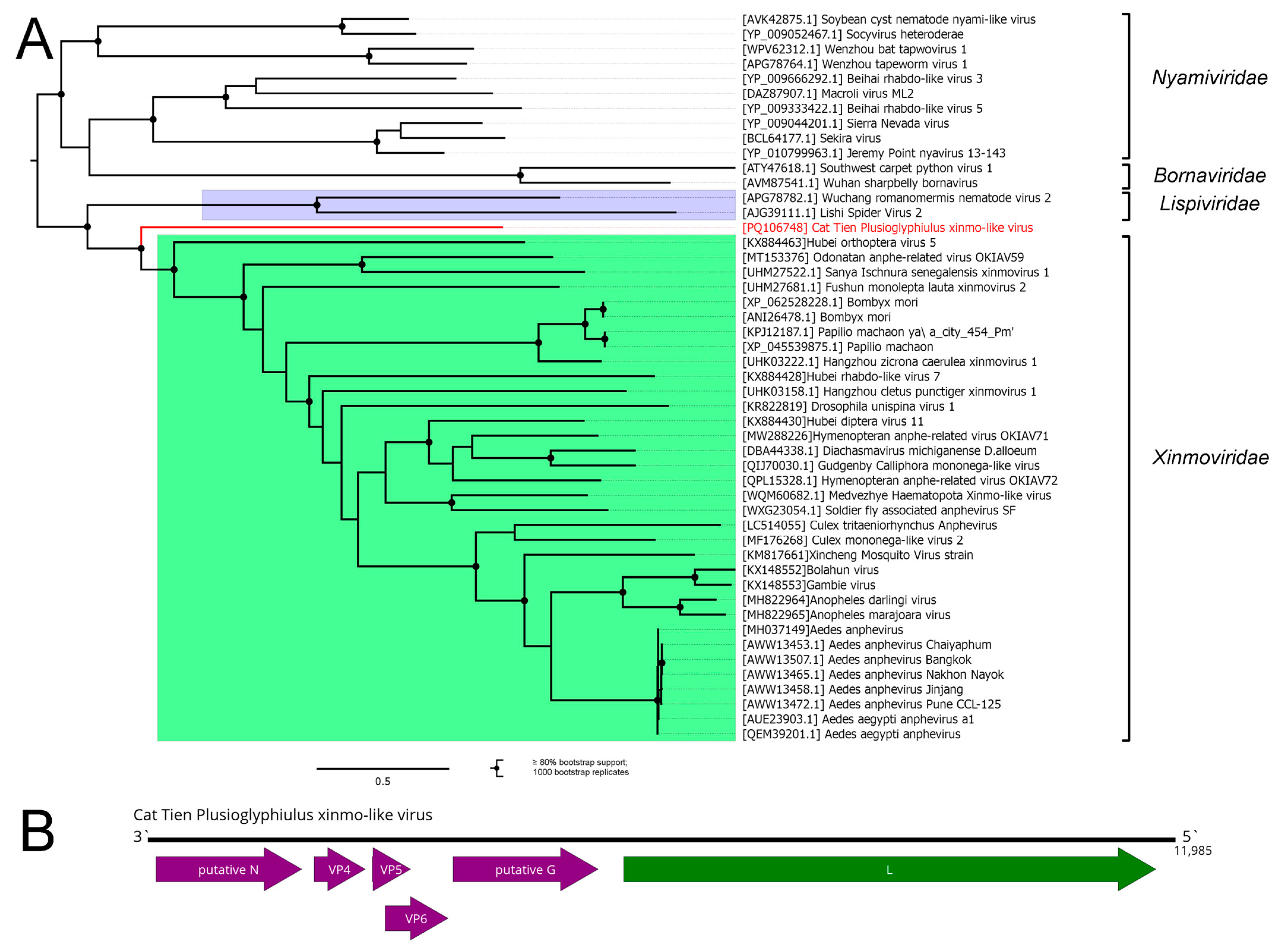 Viruses 16 01486 g005