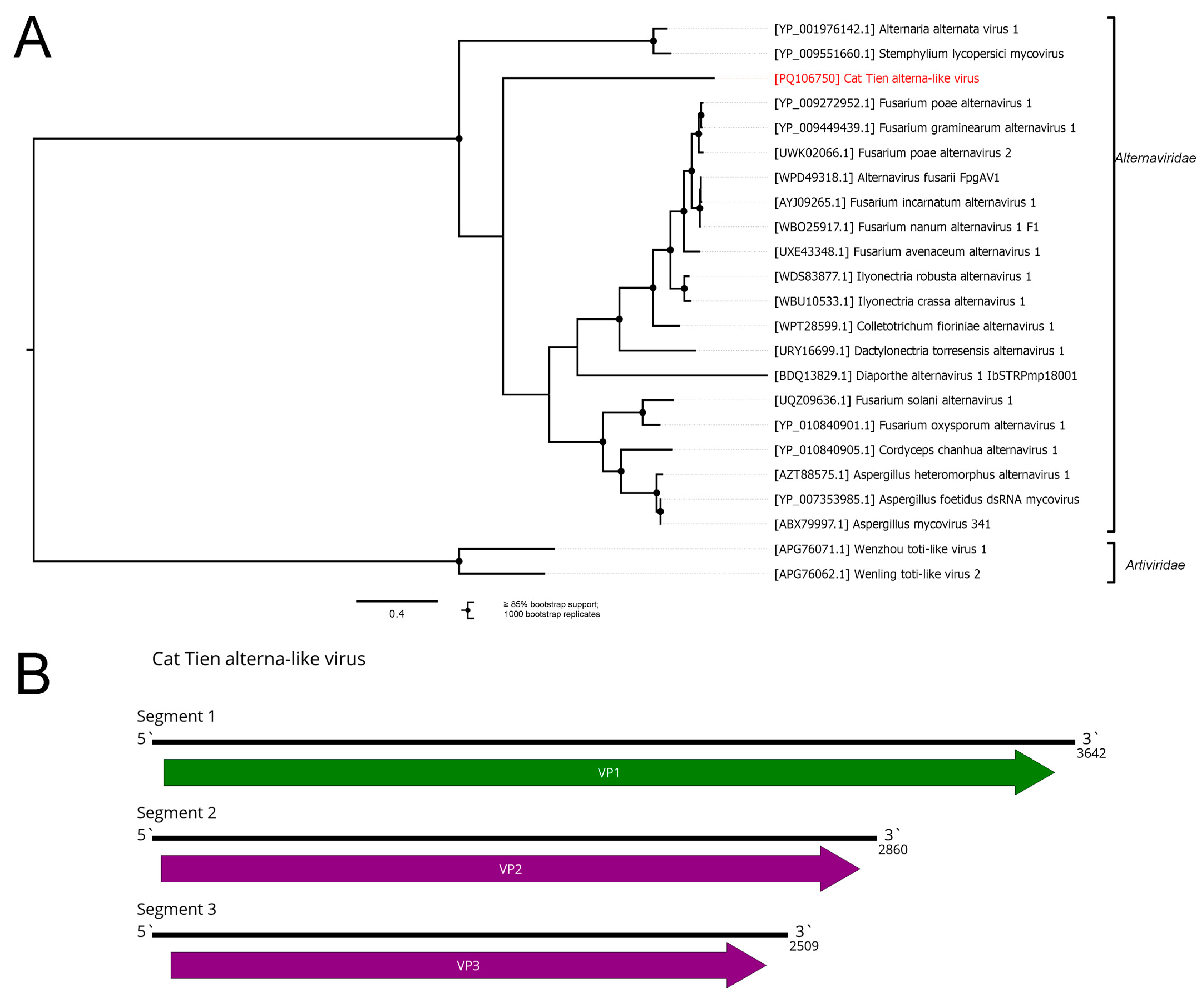 Viruses 16 01486 g007