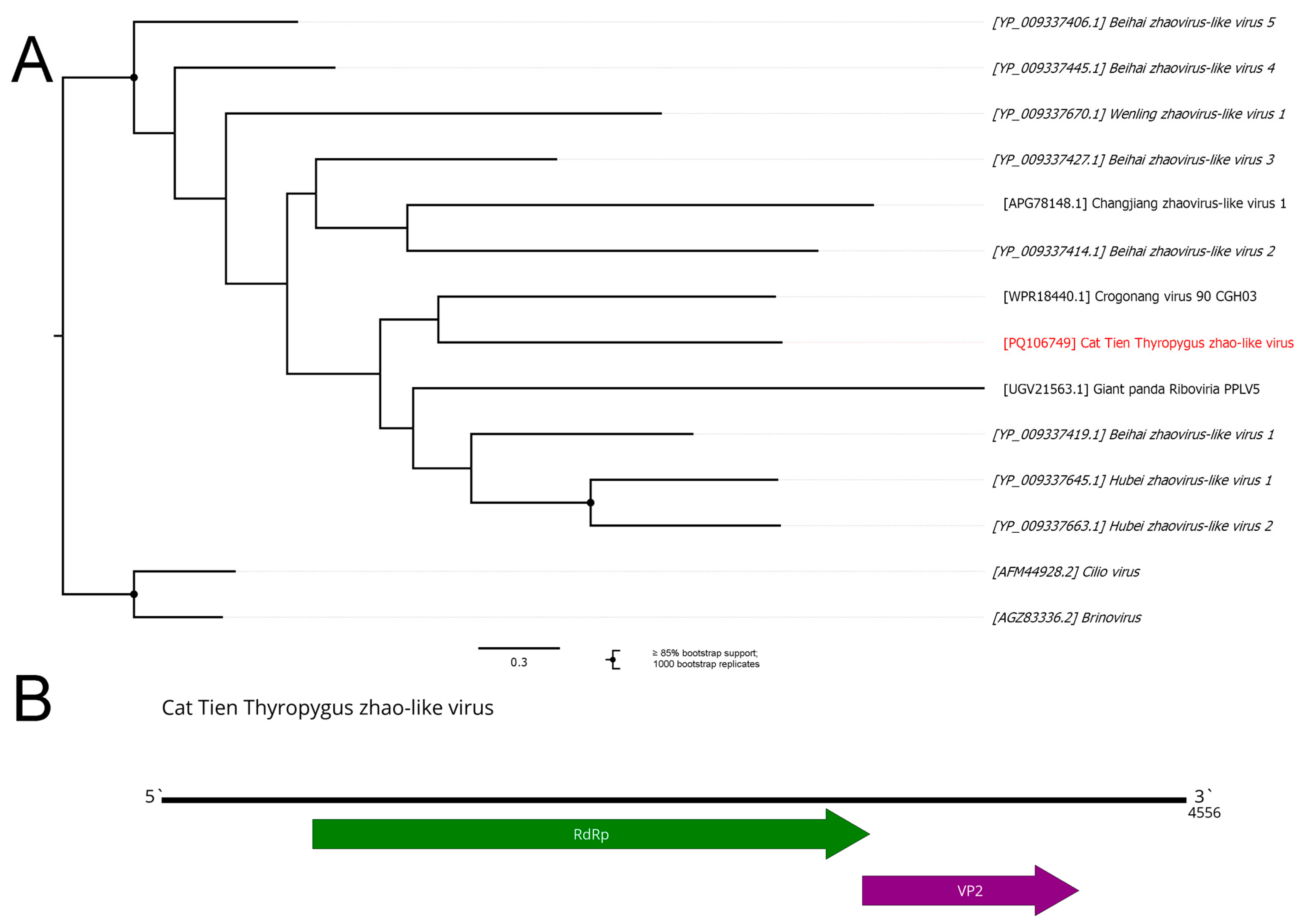 Viruses 16 01486 g010