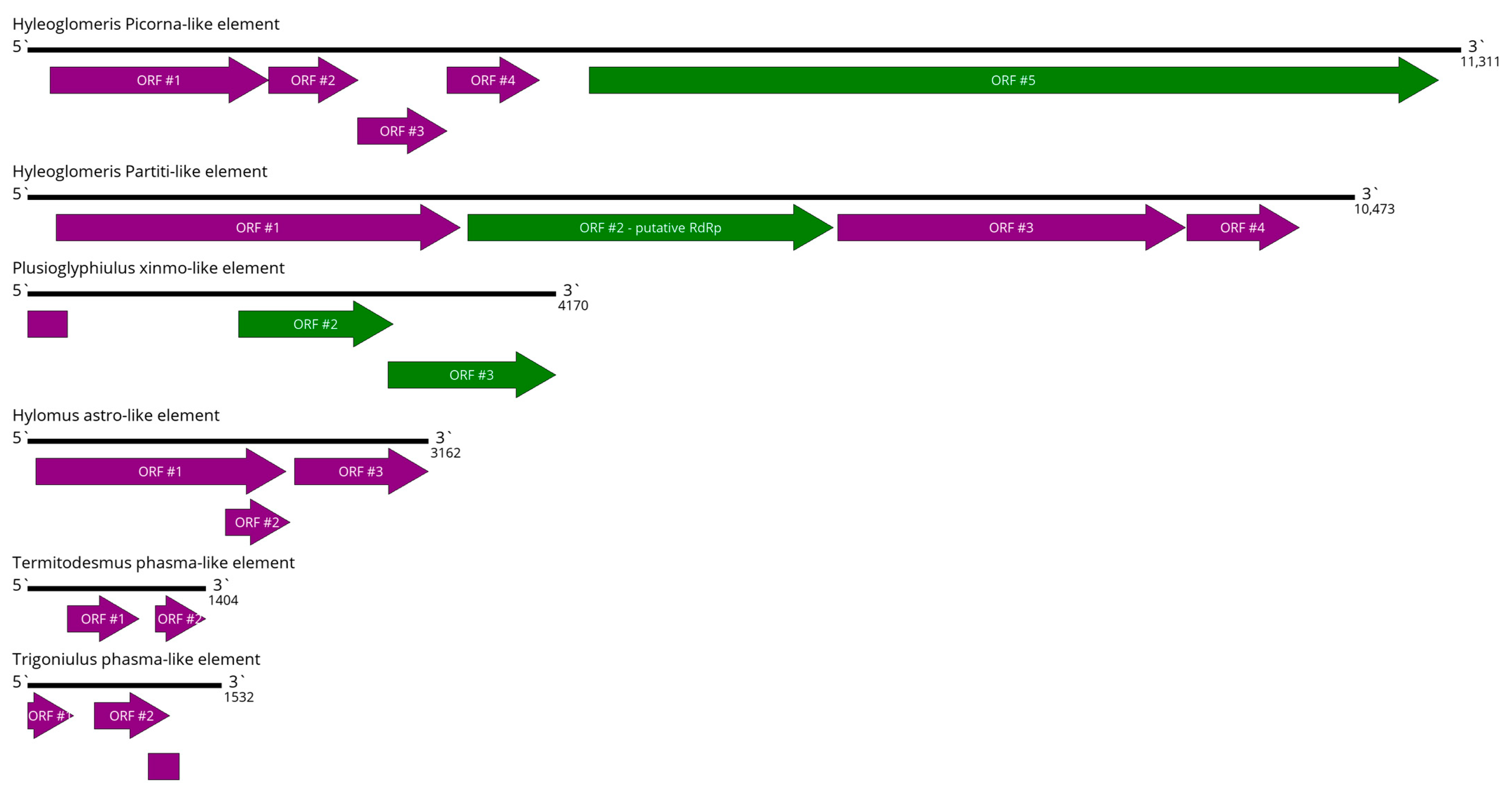 Viruses 16 01486 g012