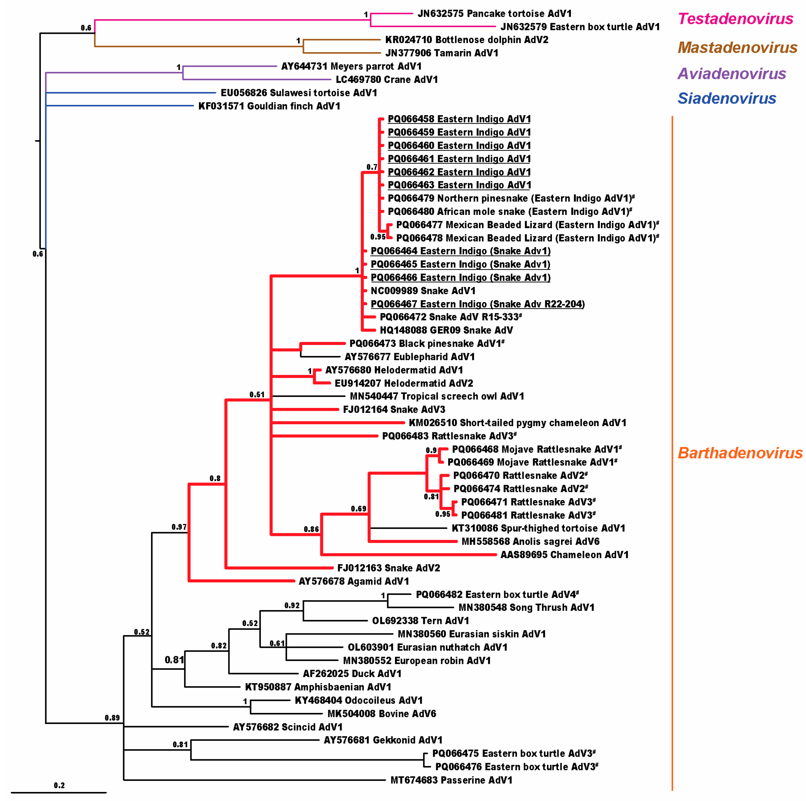 Viruses 16 01496 g001 Viruses 16 01496 g001