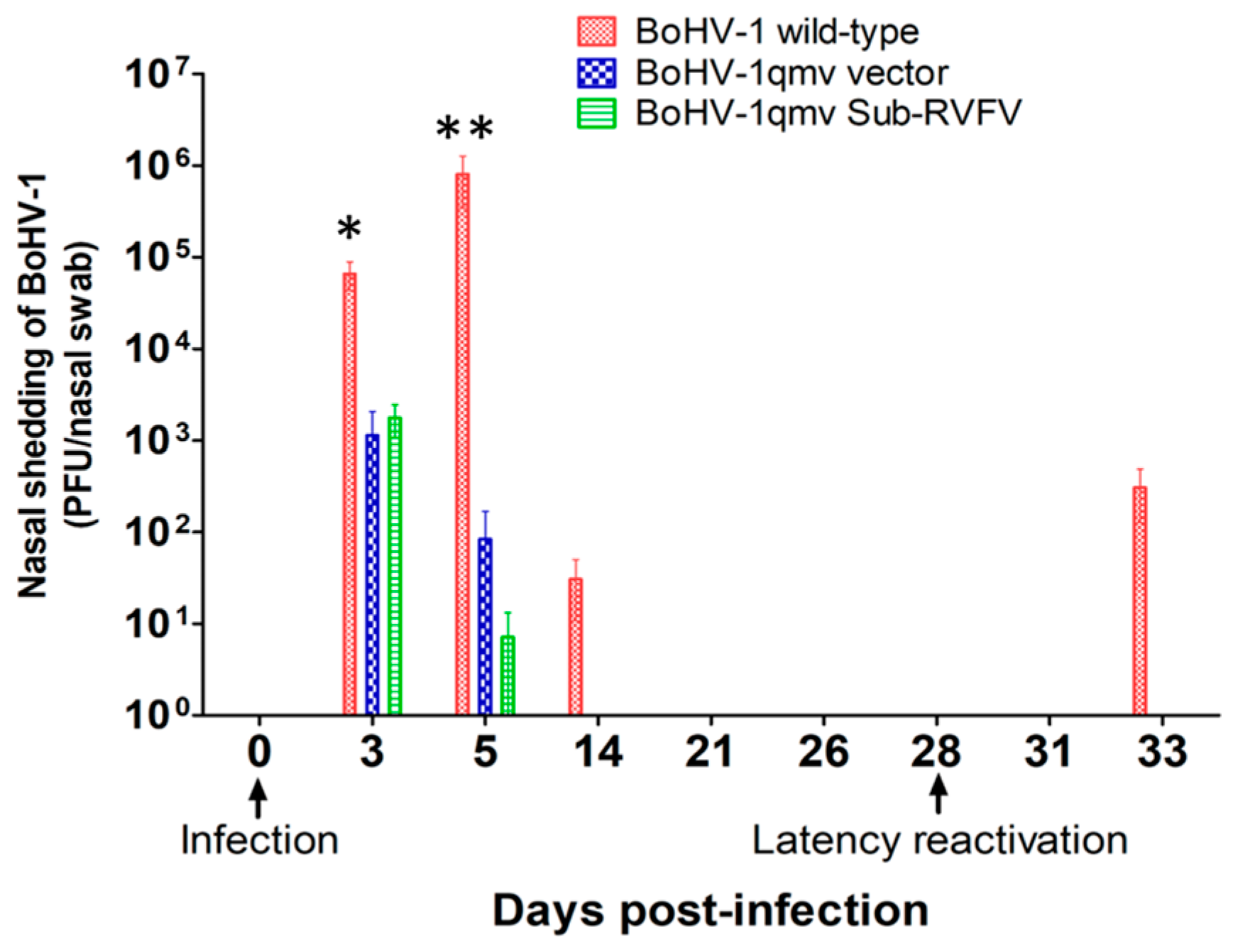 Viruses 16 01497 g003