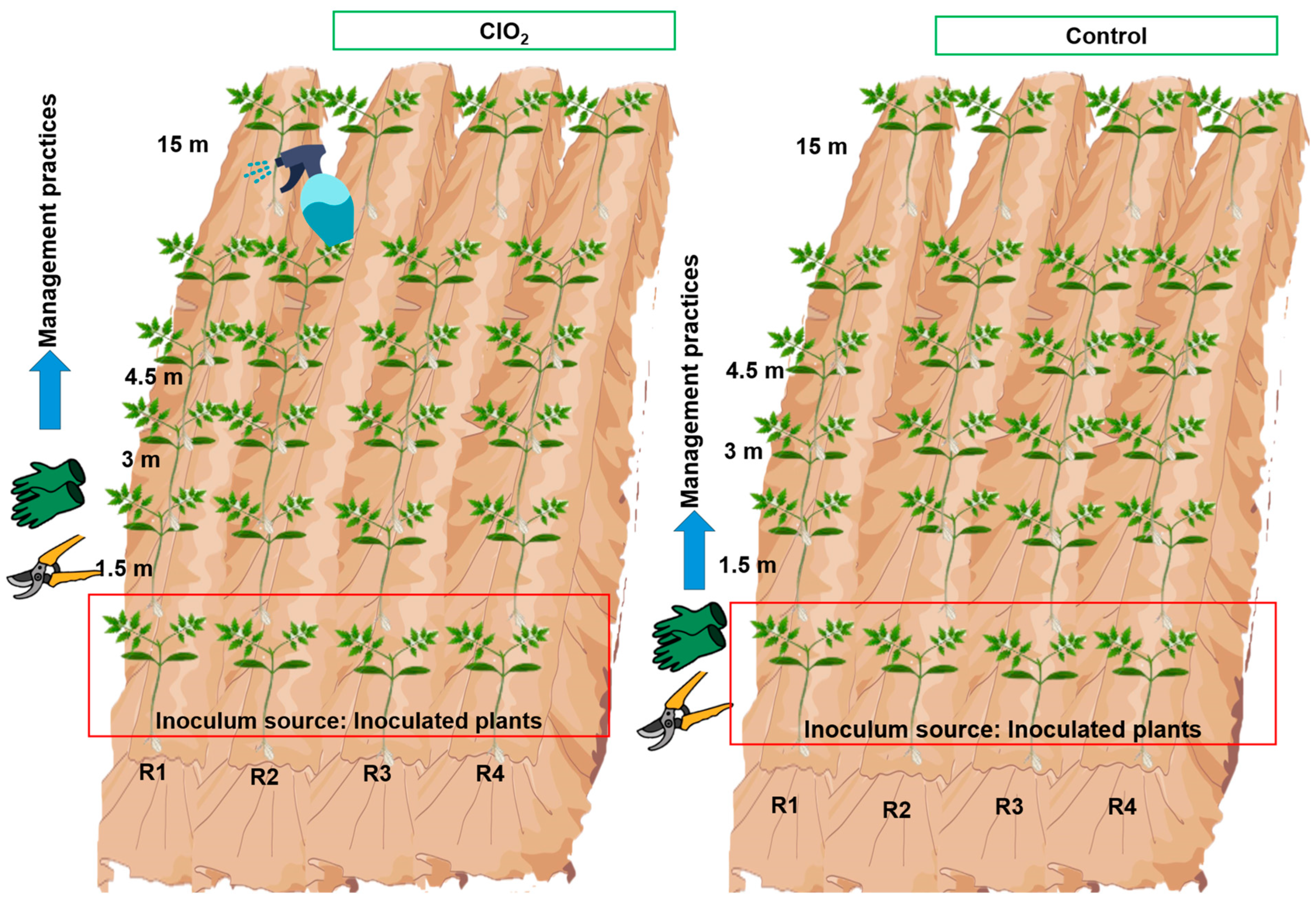 Viruses 16 01510 g001 Viruses 16 01510 g001