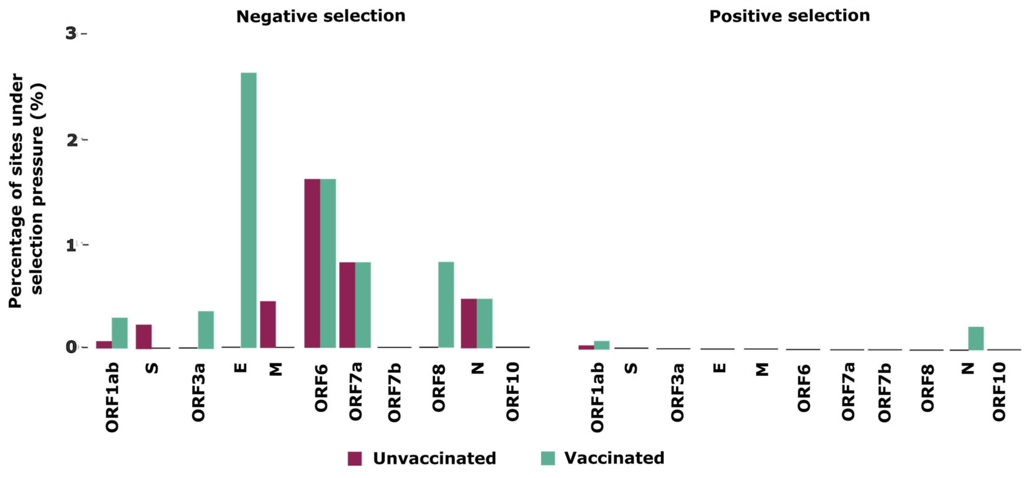 Viruses 16 01524 g002