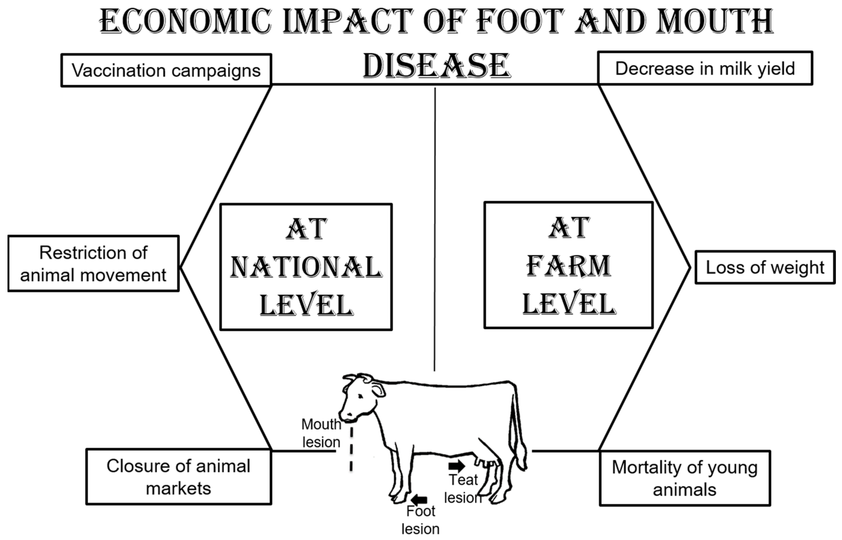 Viruses 16 01536 g002