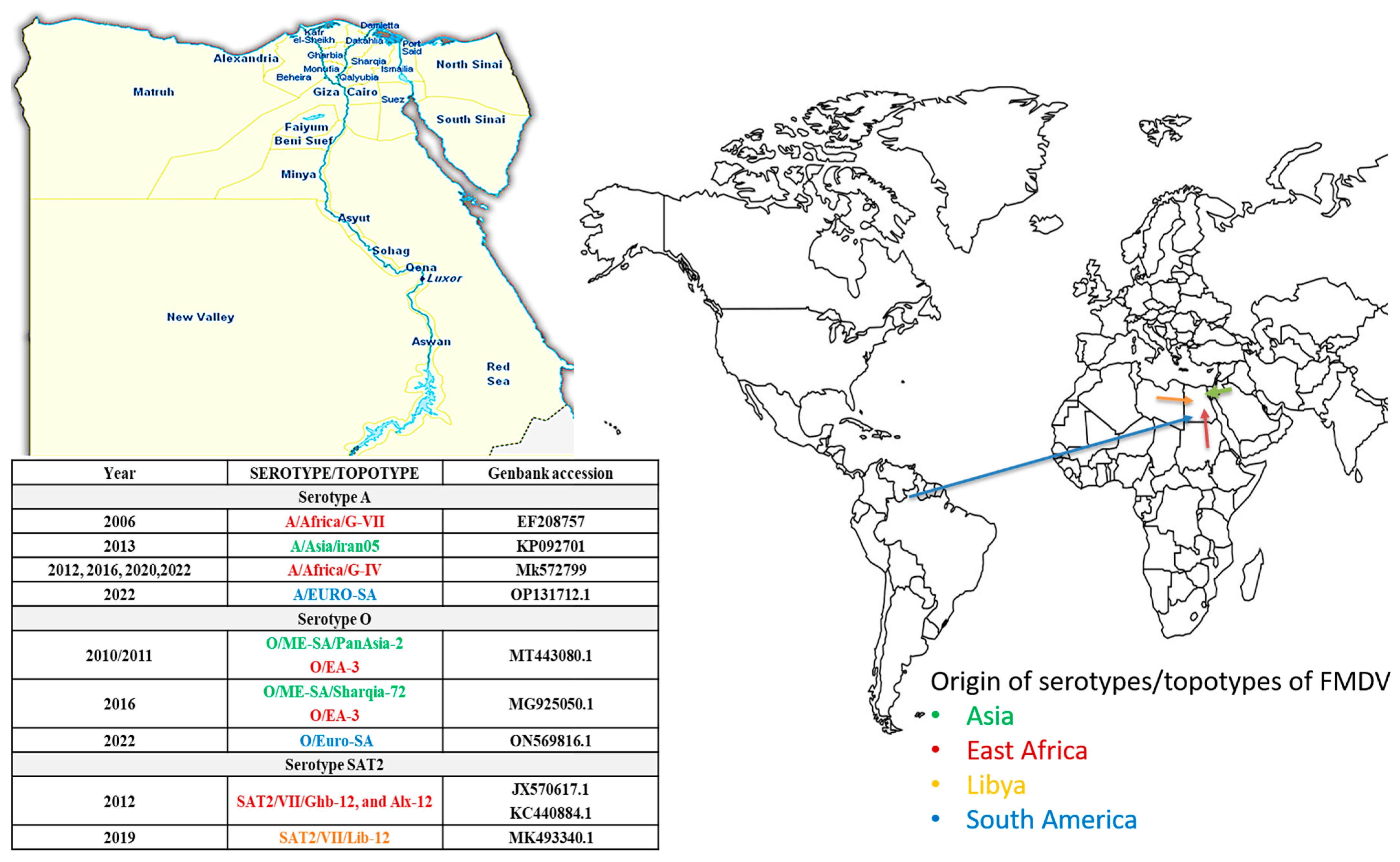 Viruses 16 01536 g003