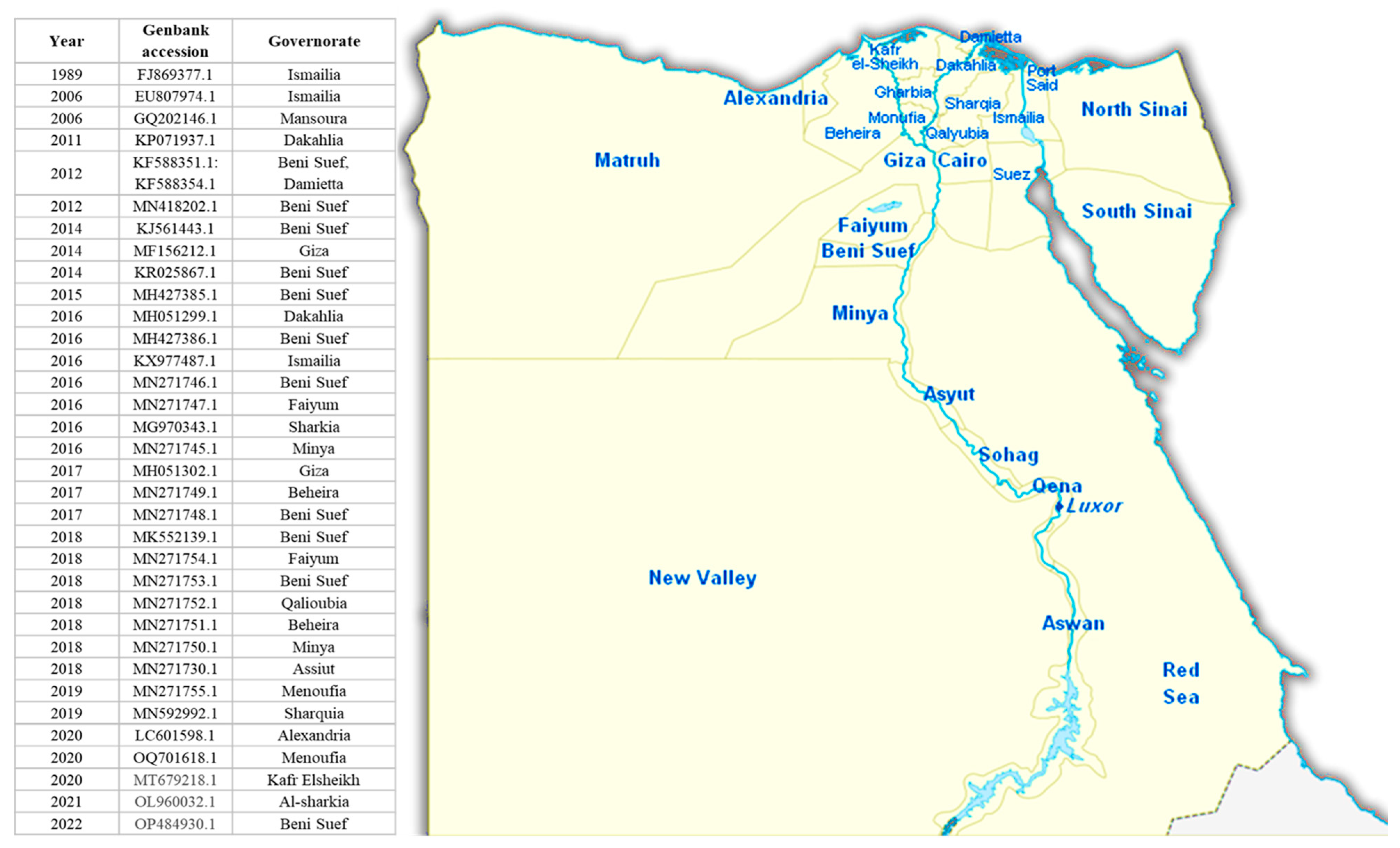 Viruses 16 01536 g006