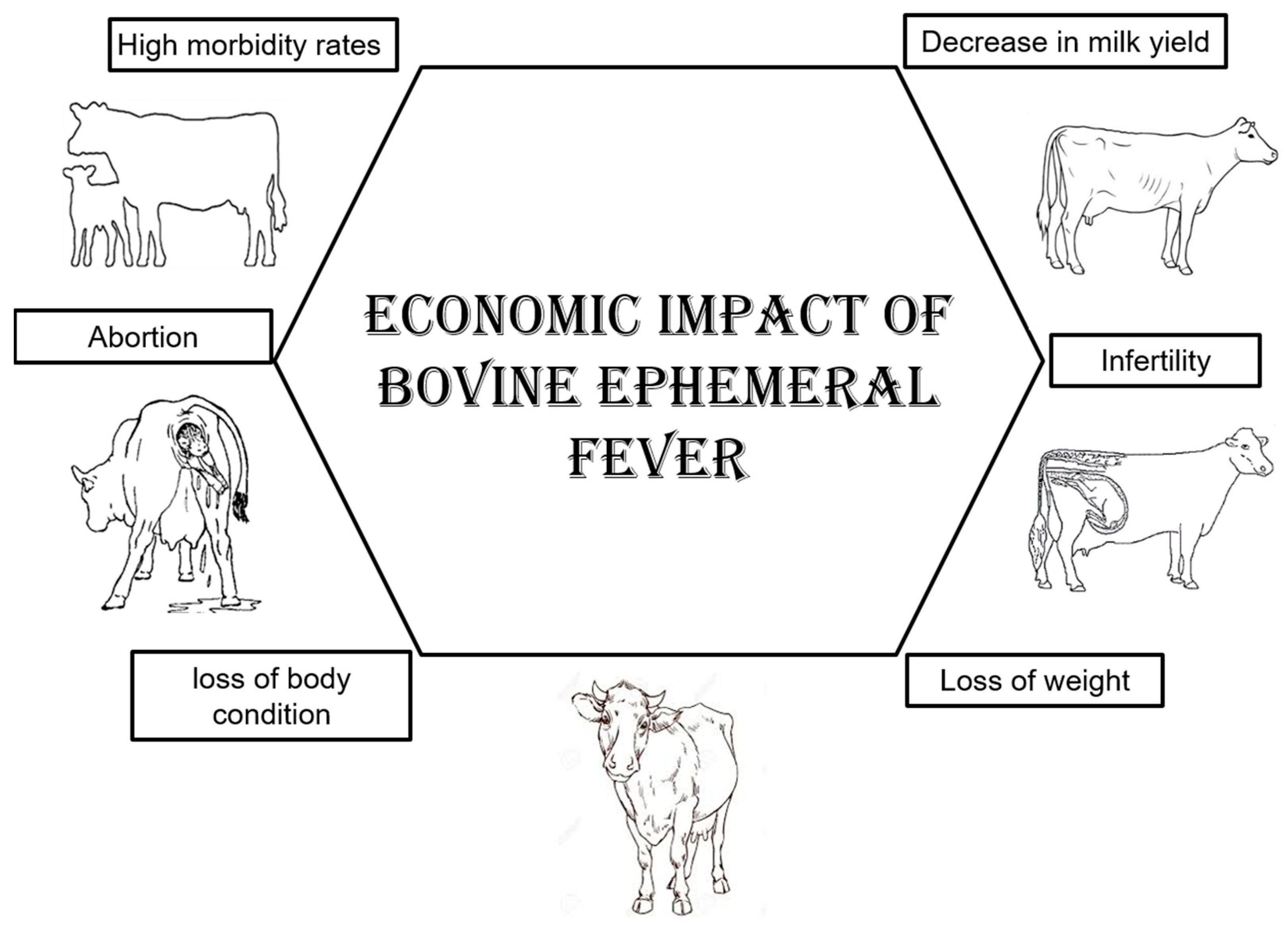 Viruses 16 01536 g008