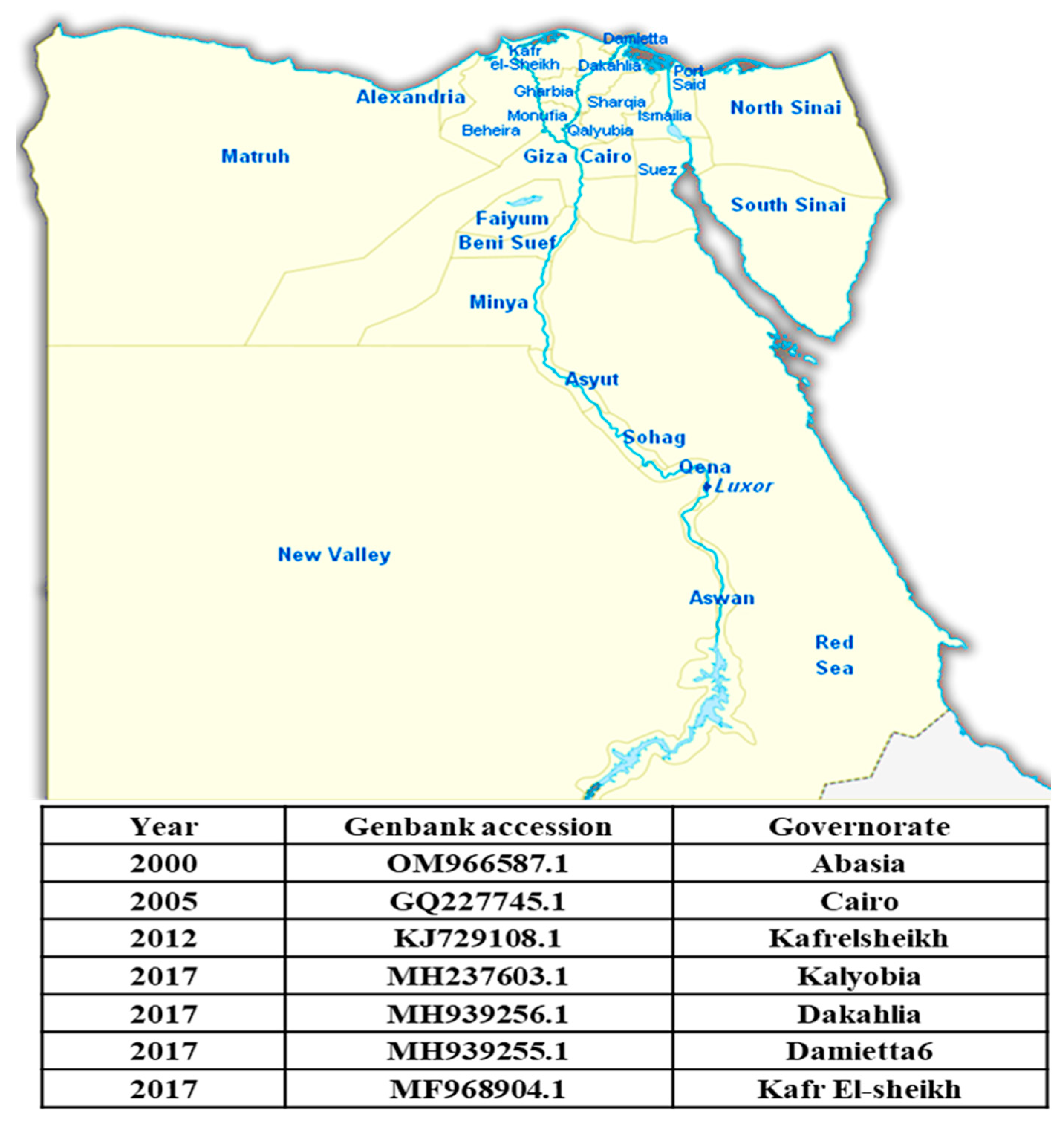 Viruses 16 01536 g009