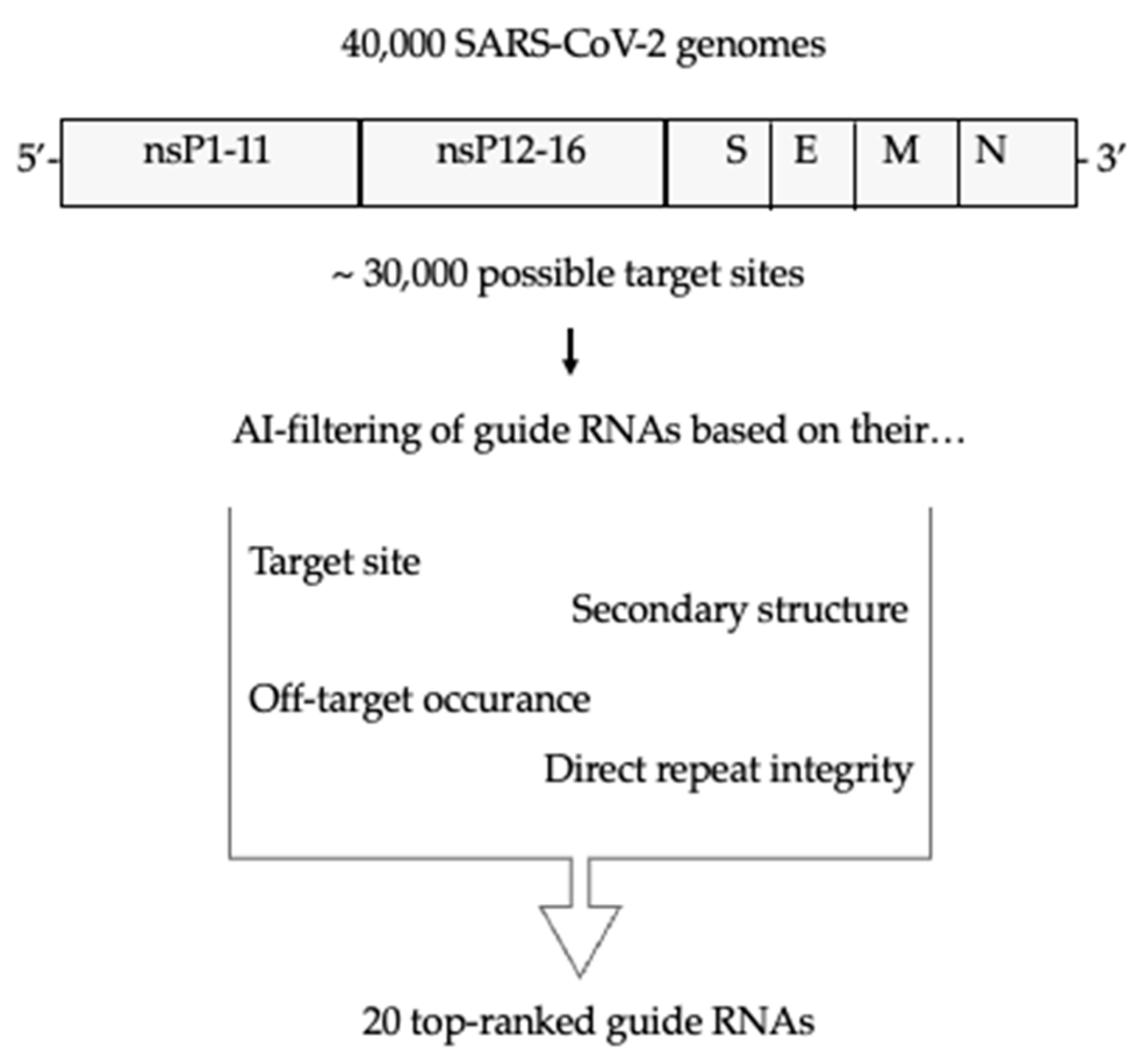 Viruses 16 01539 g001