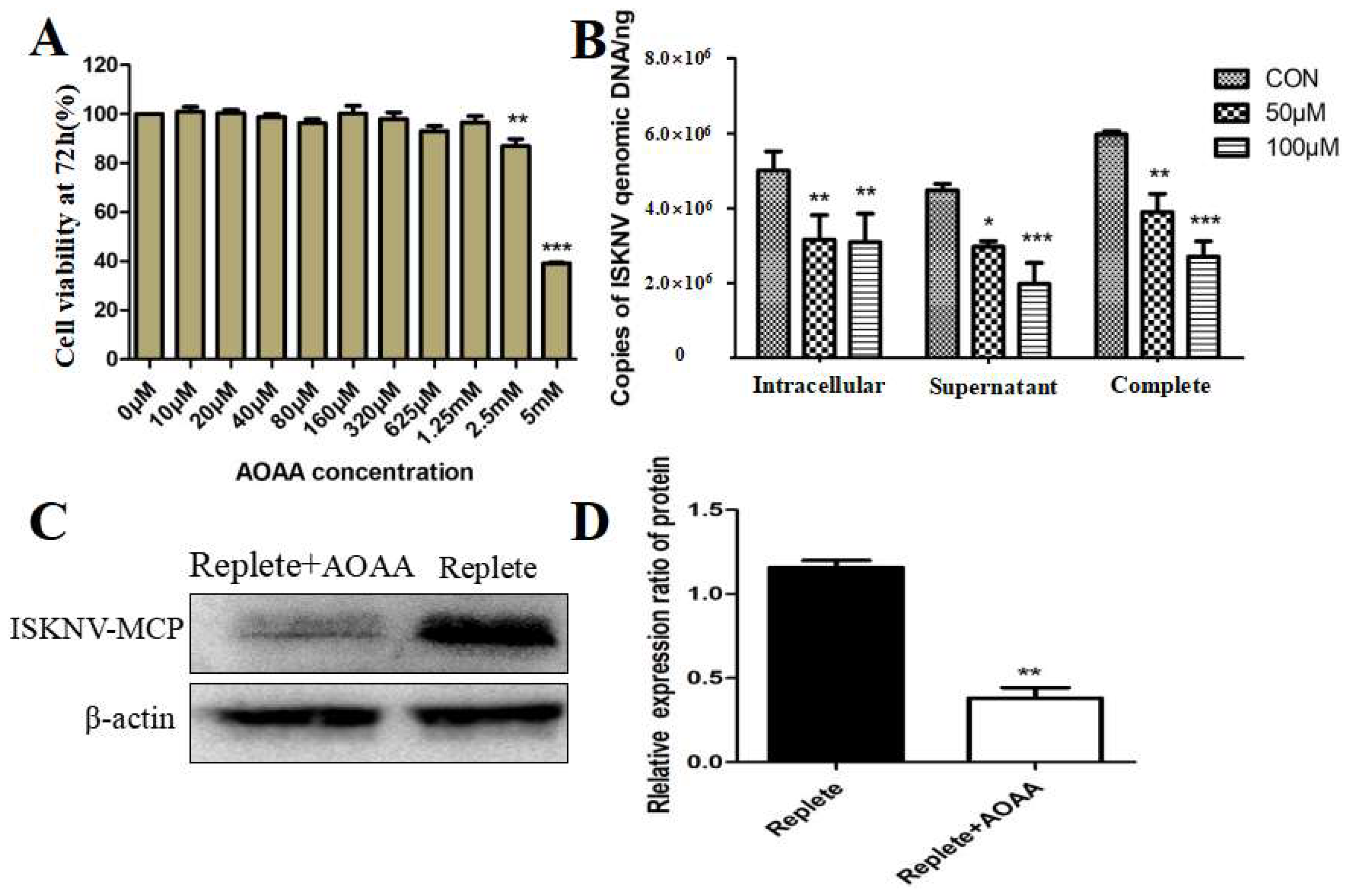 Viruses 16 01540 g003