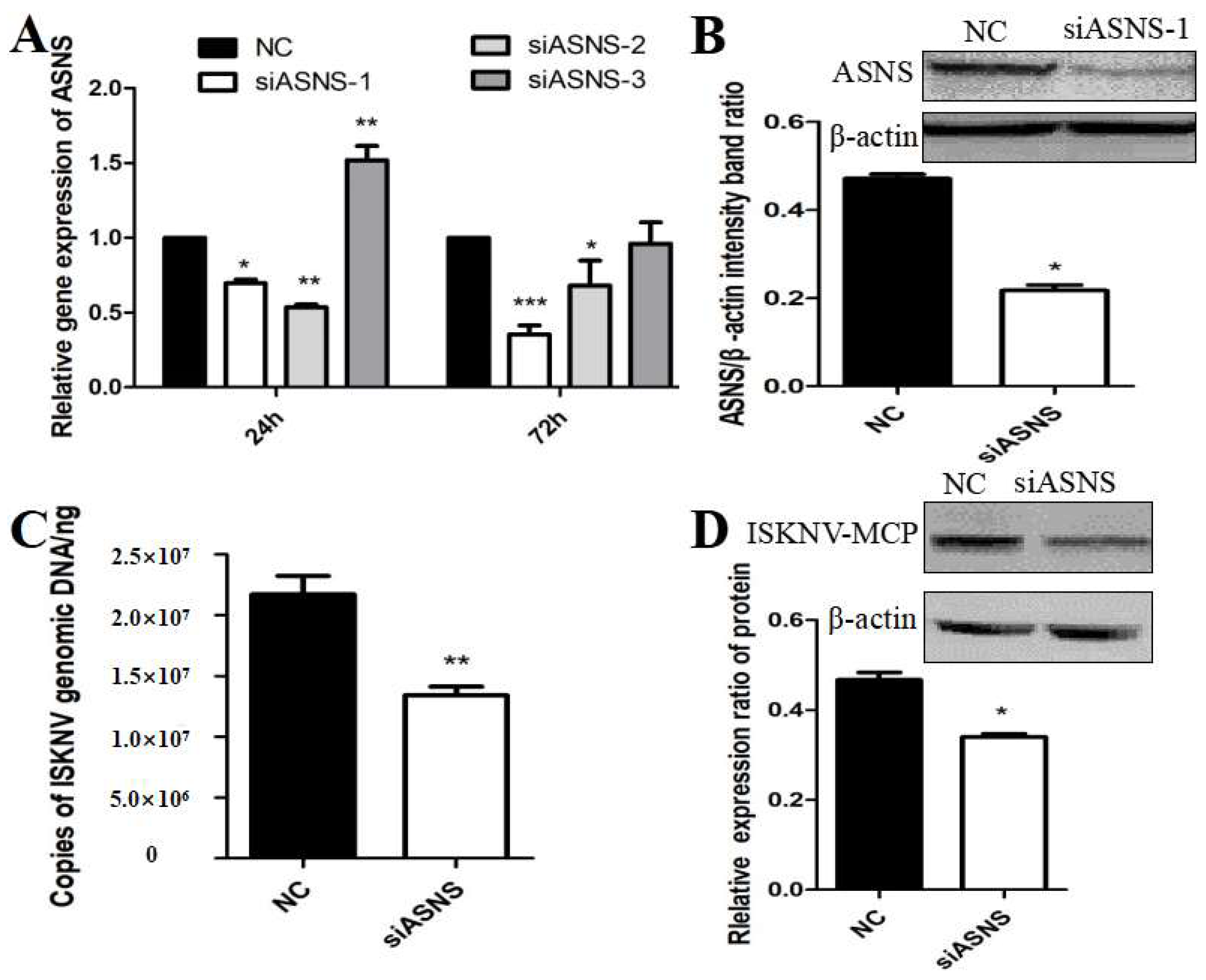 Viruses 16 01540 g004