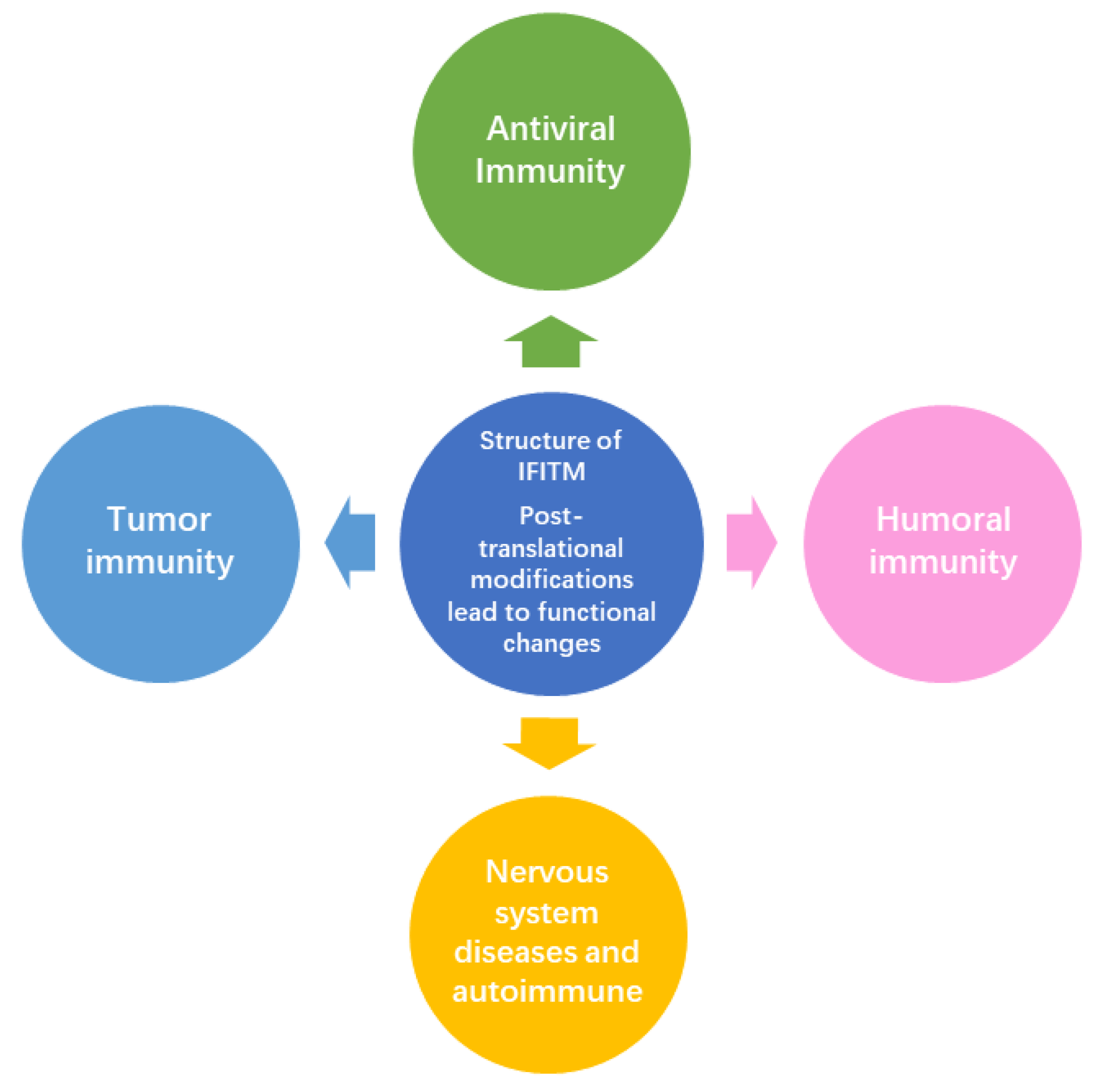 Viruses 16 01543 g006