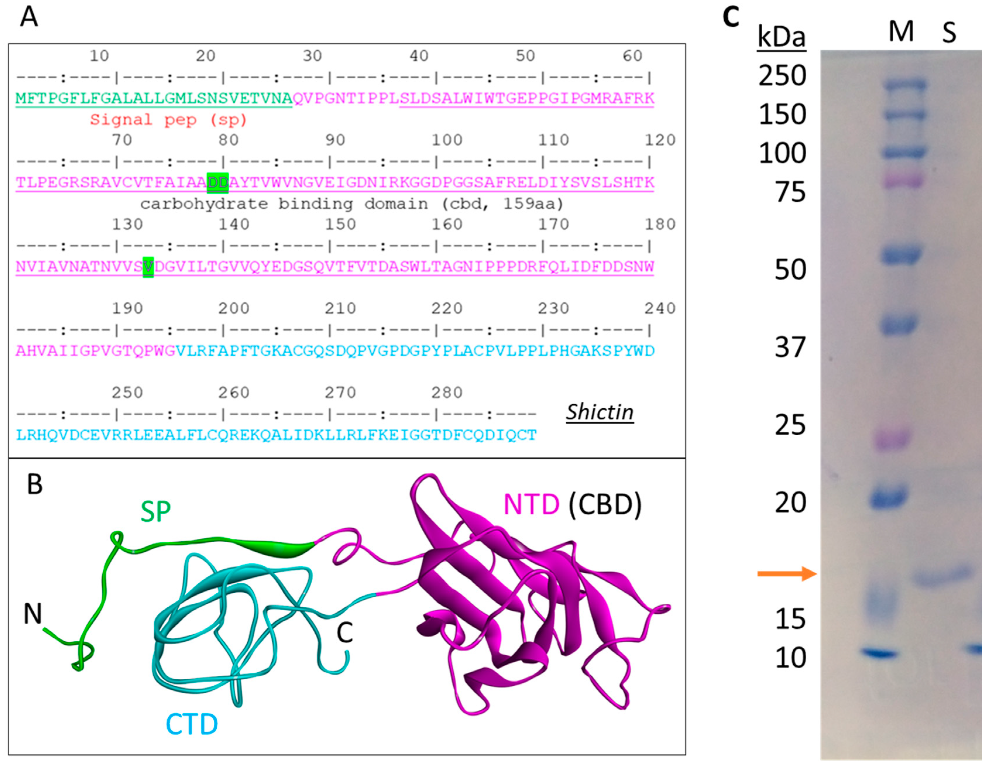 Viruses 16 01546 g005