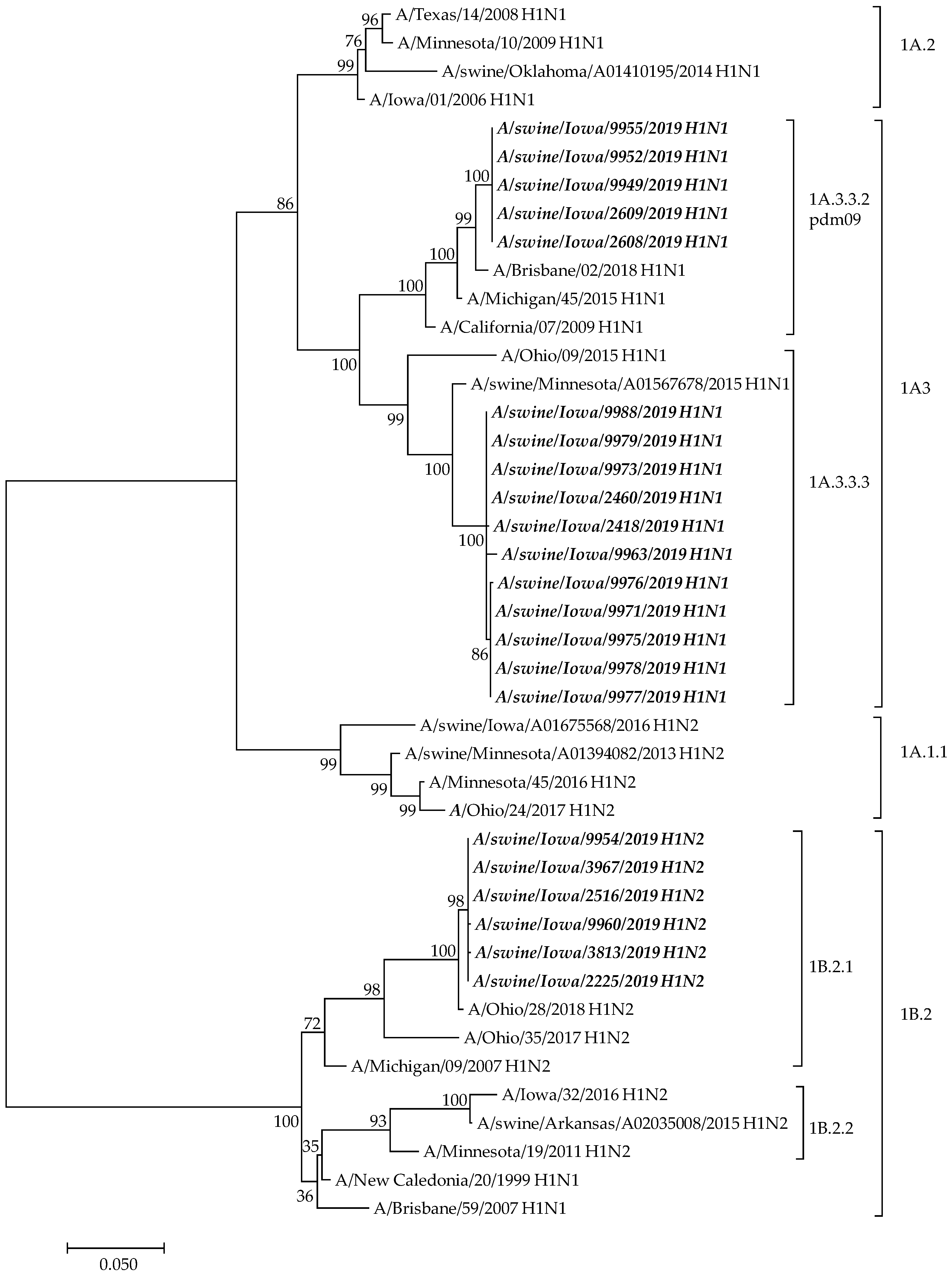 Viruses 16 01557 g001