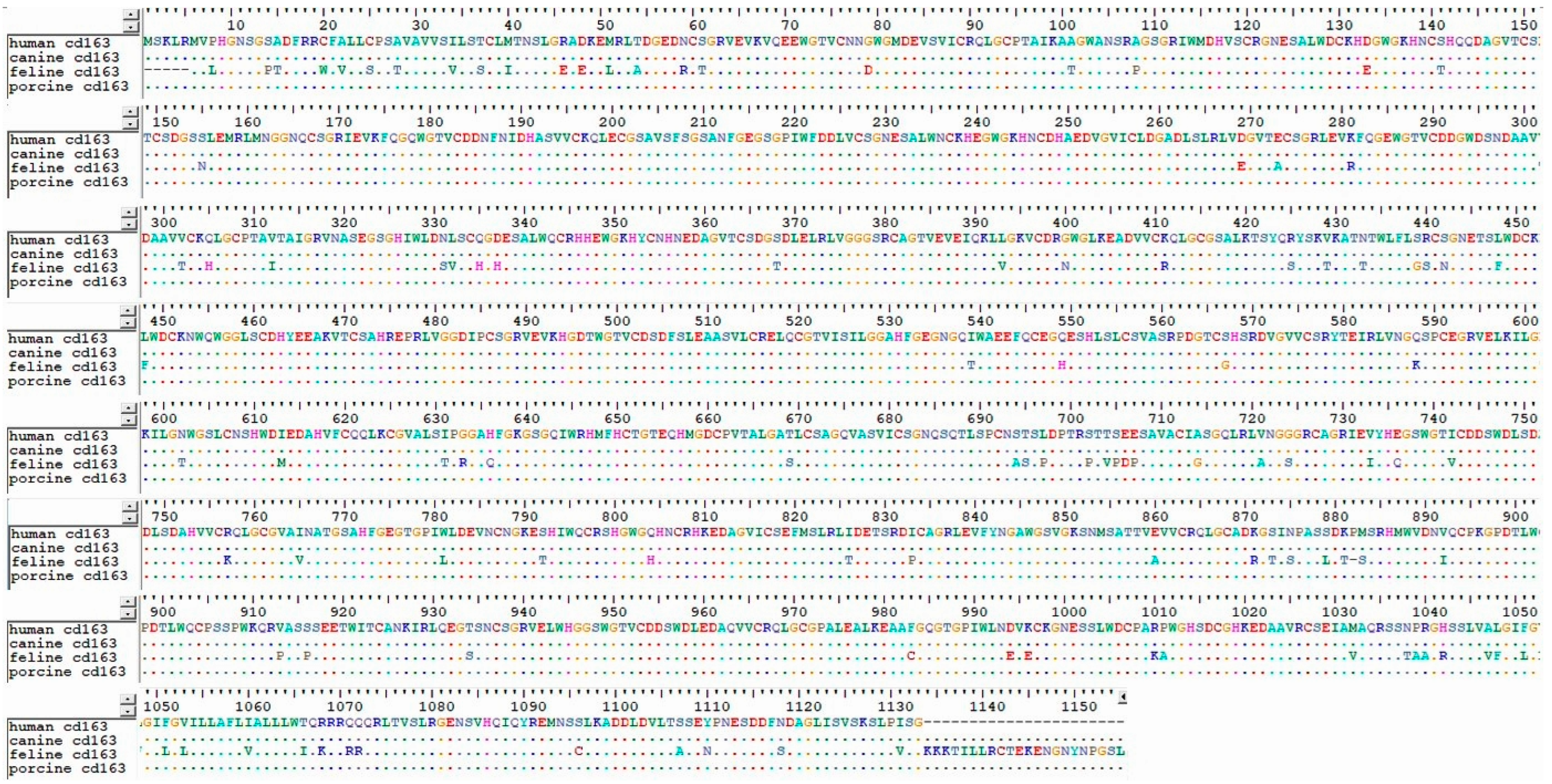 Viruses 16 01563 g004