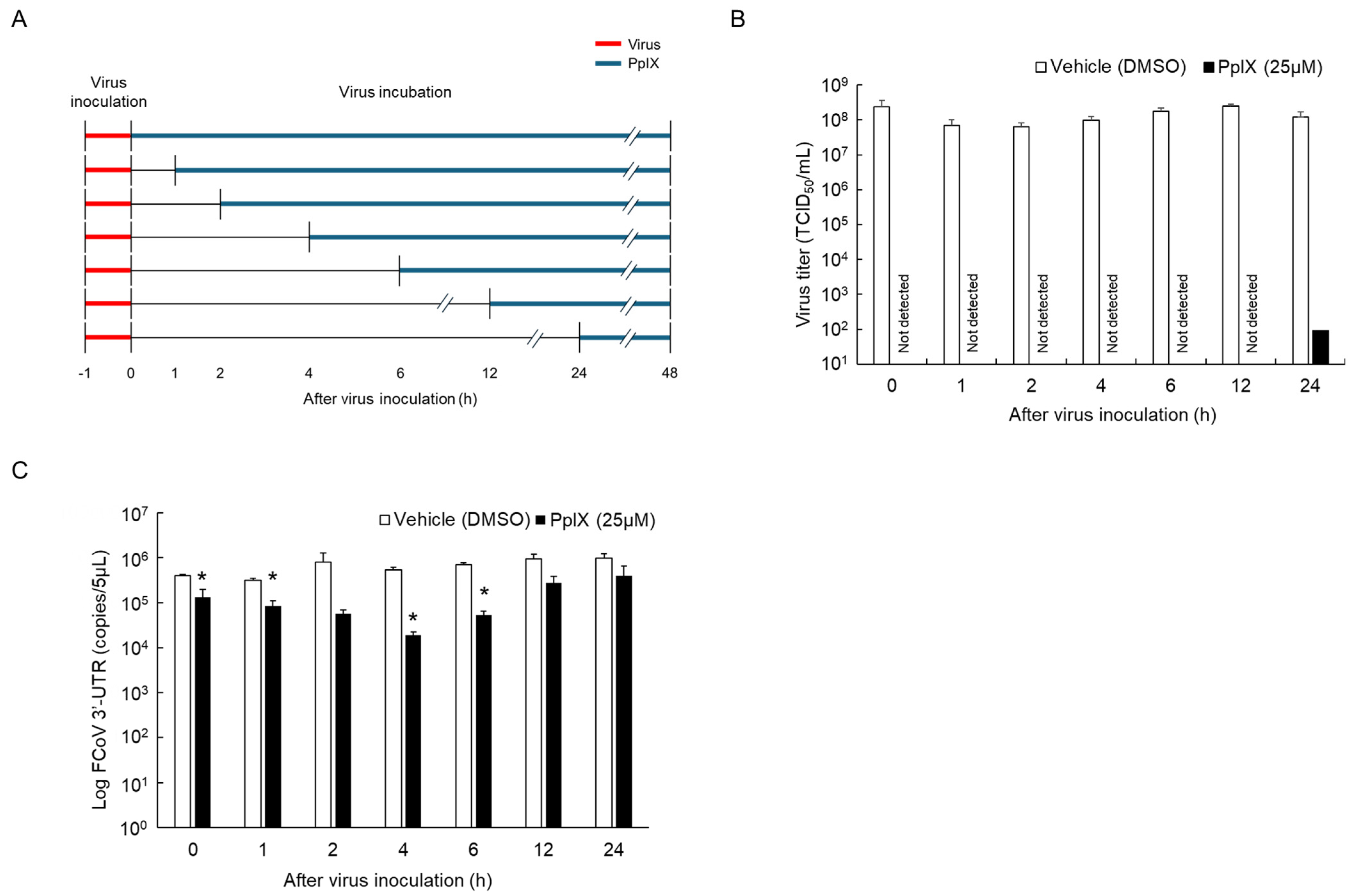 Viruses 16 01595 g004