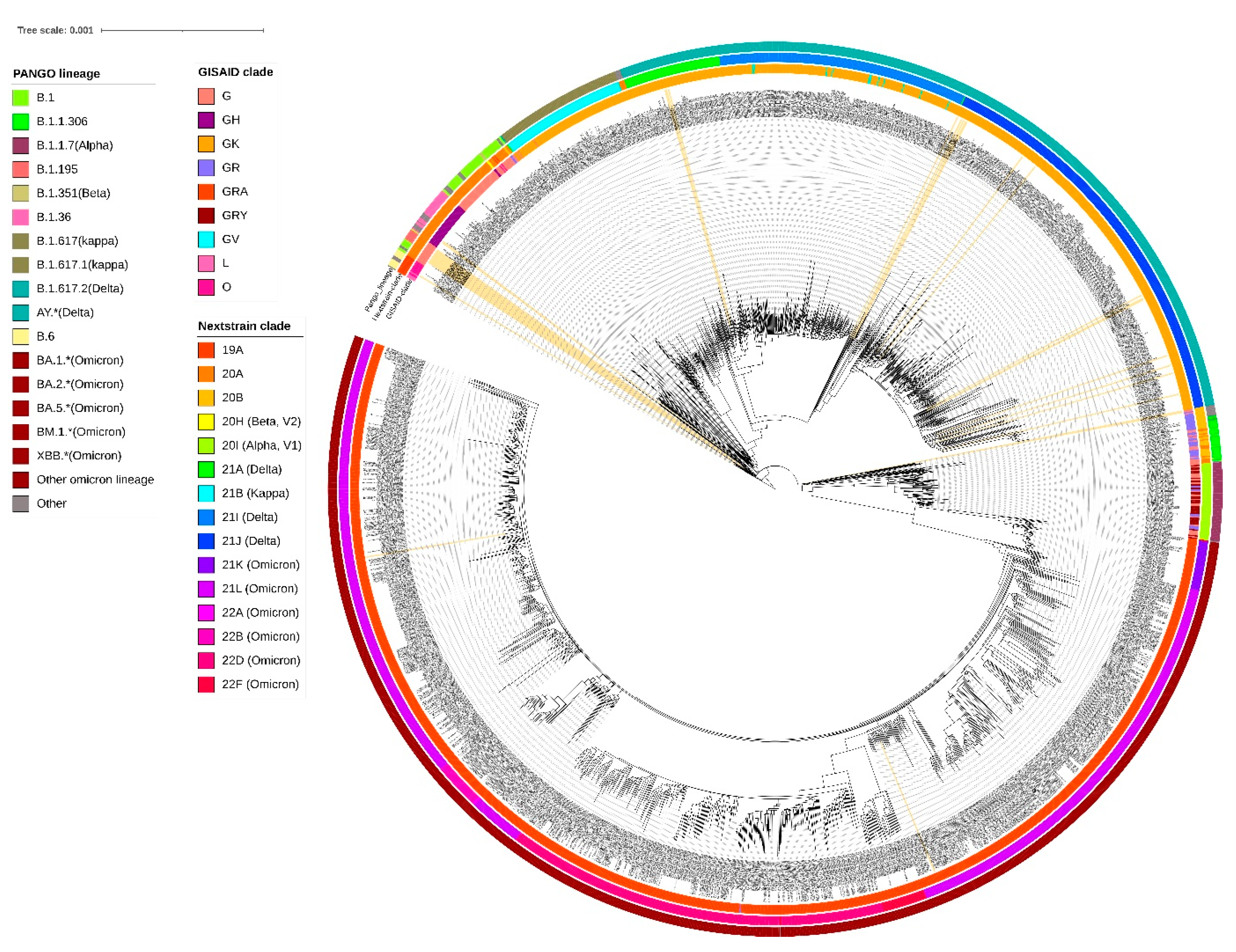 Viruses 16 01608 g002