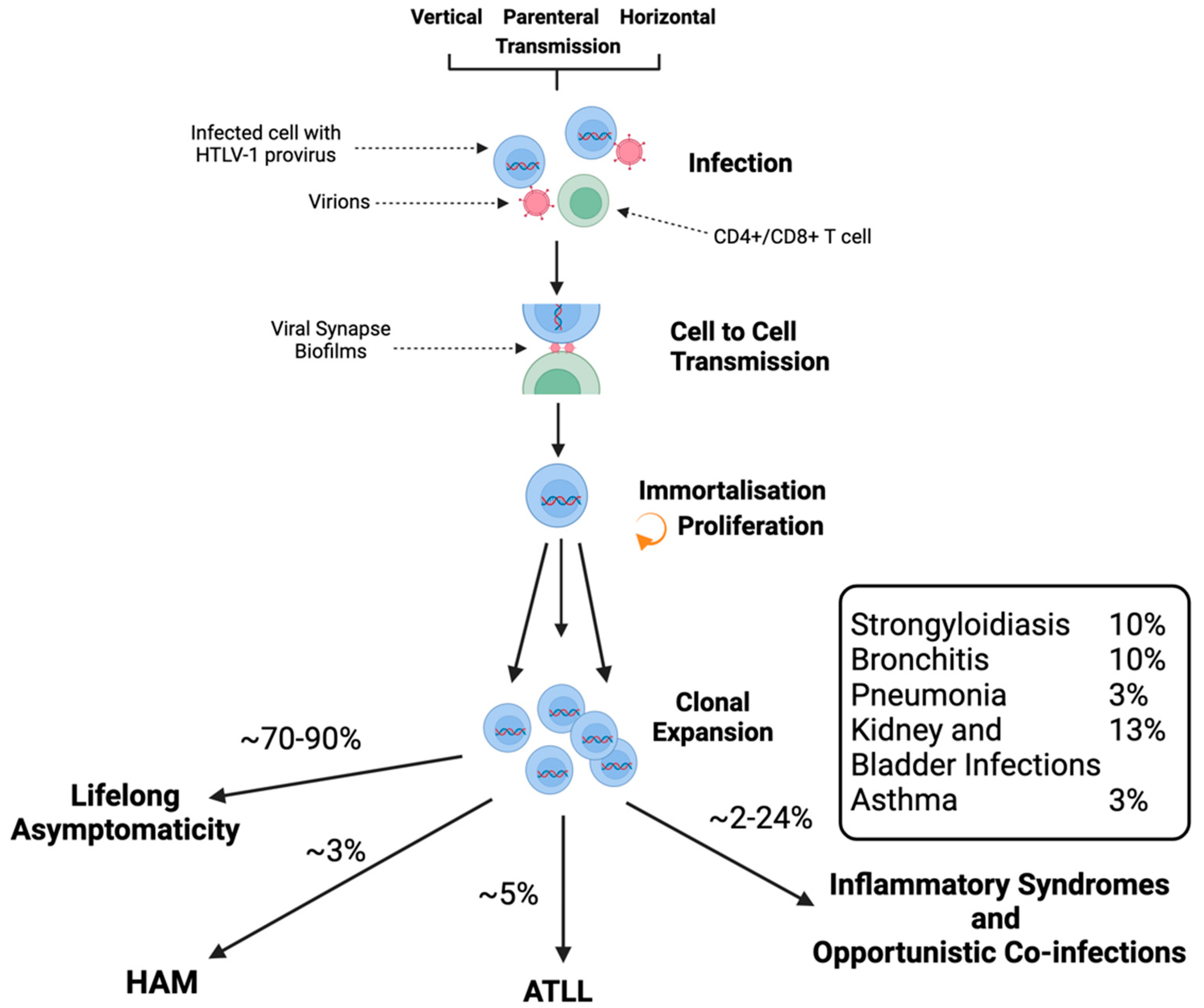 Viruses 16 01616 g004 Viruses 16 01616 g004