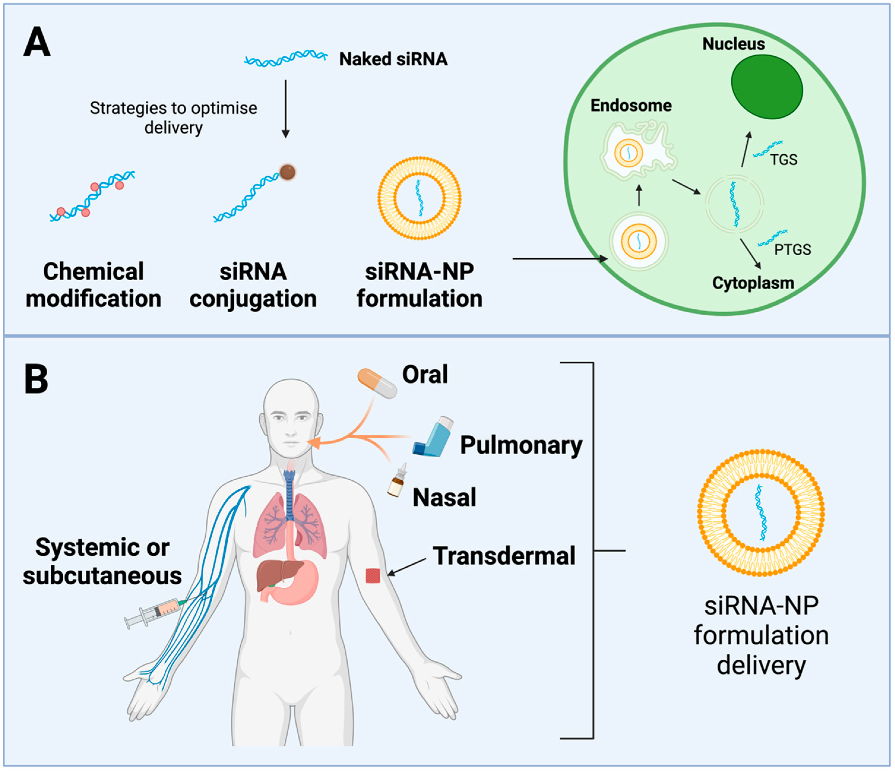 Viruses 16 01616 g006 Viruses 16 01616 g006