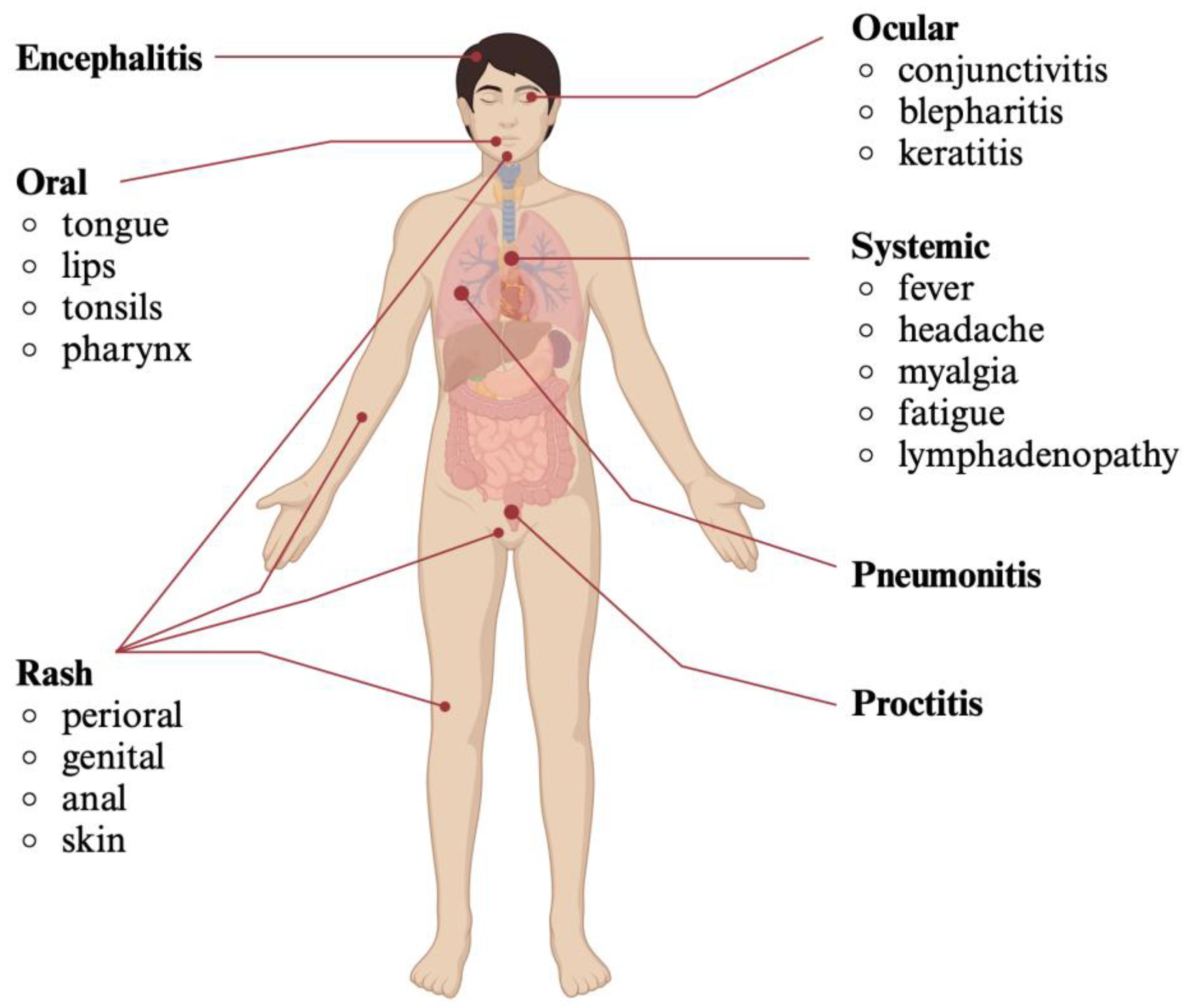 Viruses 16 01620 g002