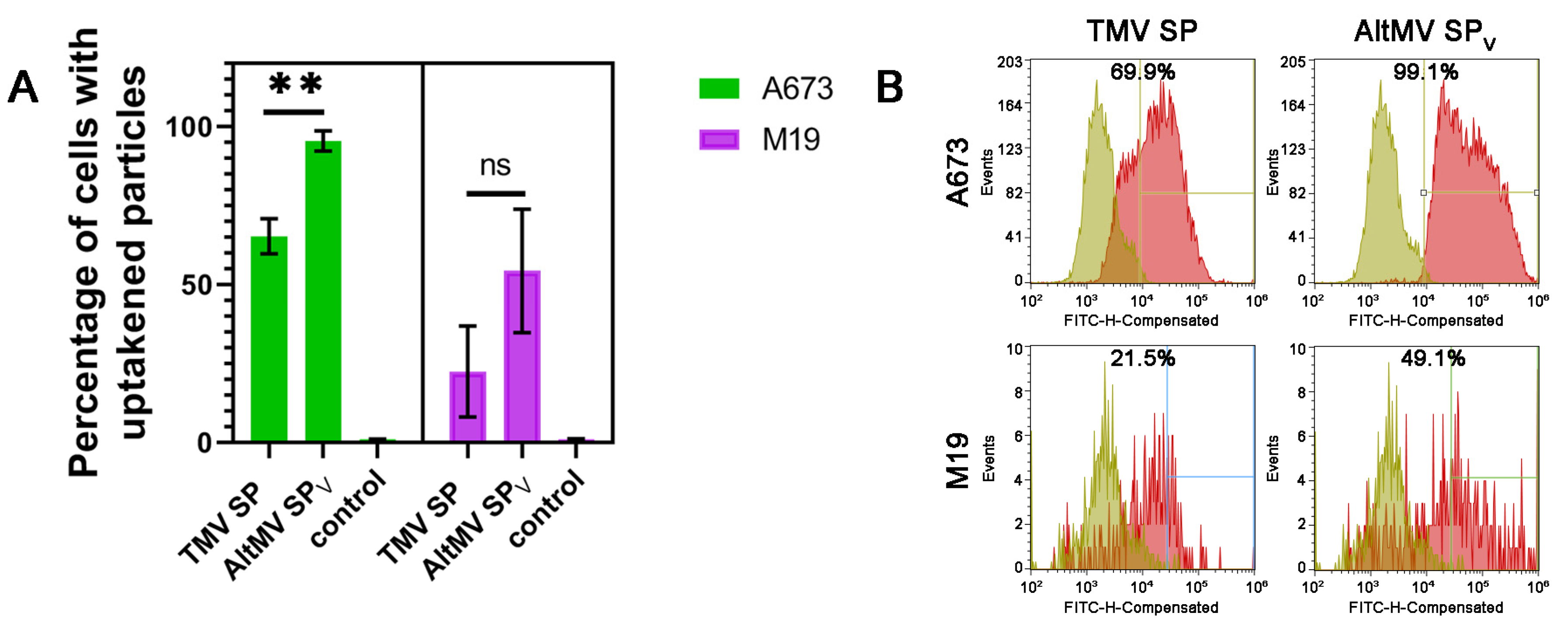 Viruses 16 01621 g005
