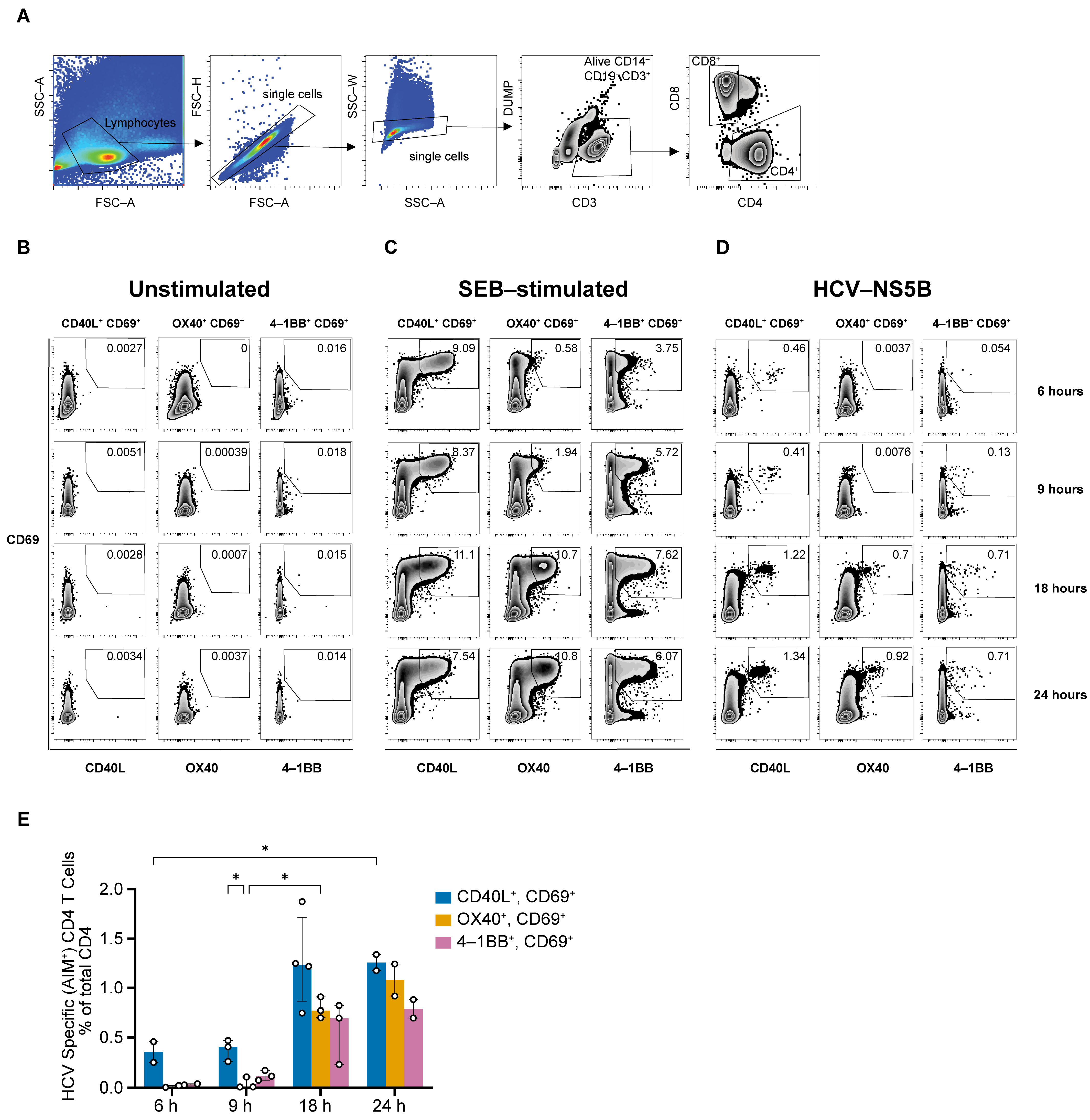 Viruses 16 01623 g001 Viruses 16 01623 g001