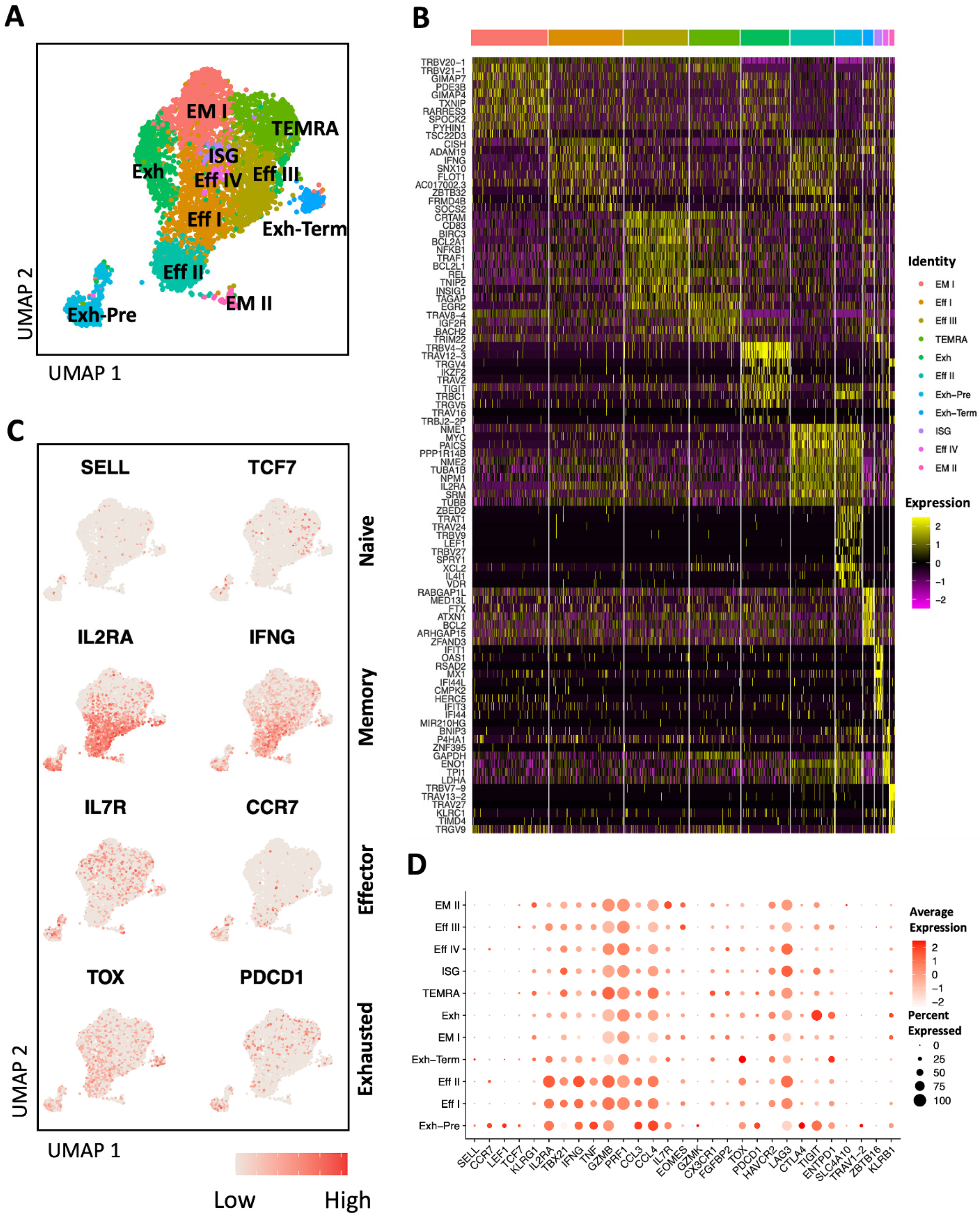 Viruses 16 01623 g004 Viruses 16 01623 g004