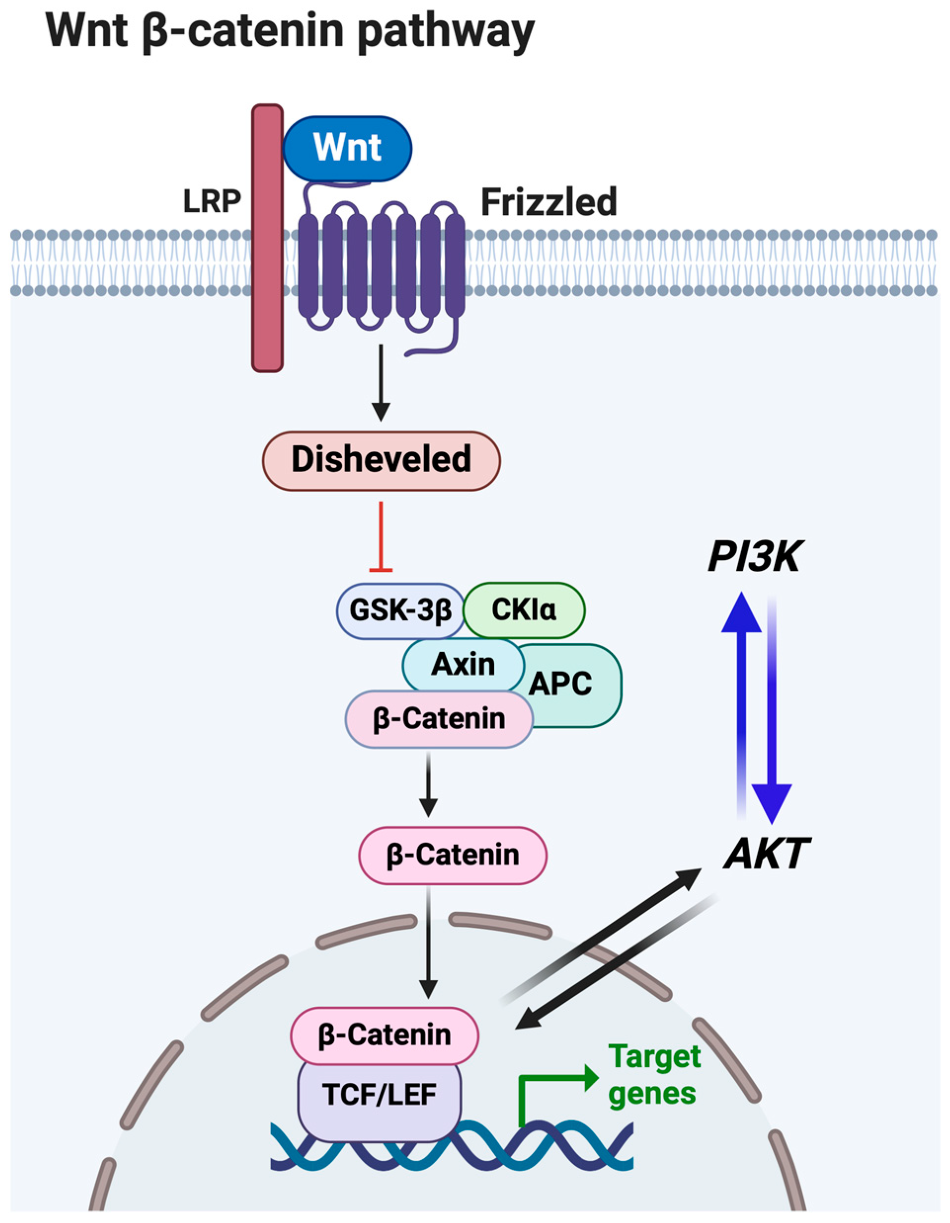 Viruses 16 01675 g002