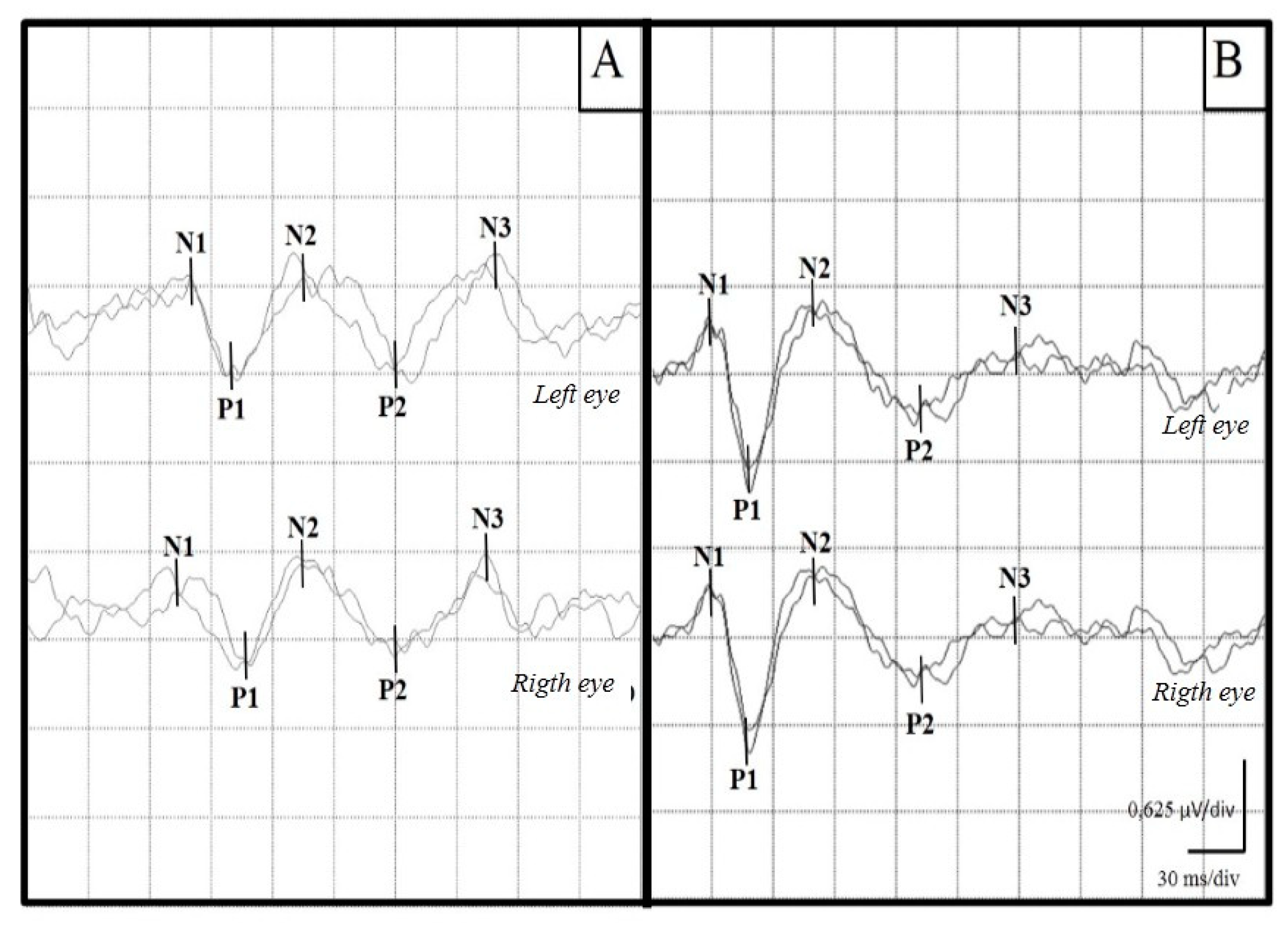 Viruses 16 01721 g001