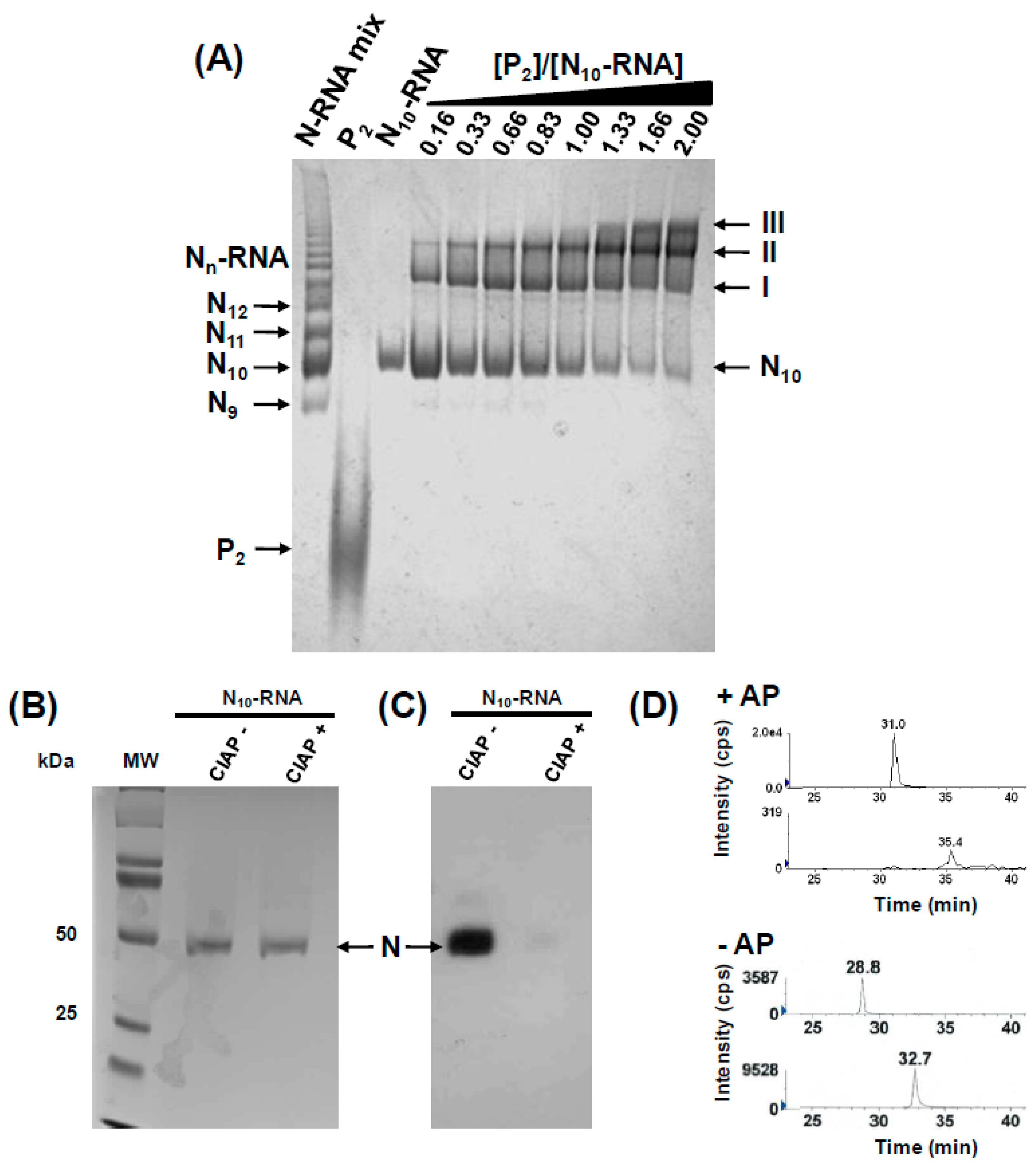 Viruses 16 01735 g002