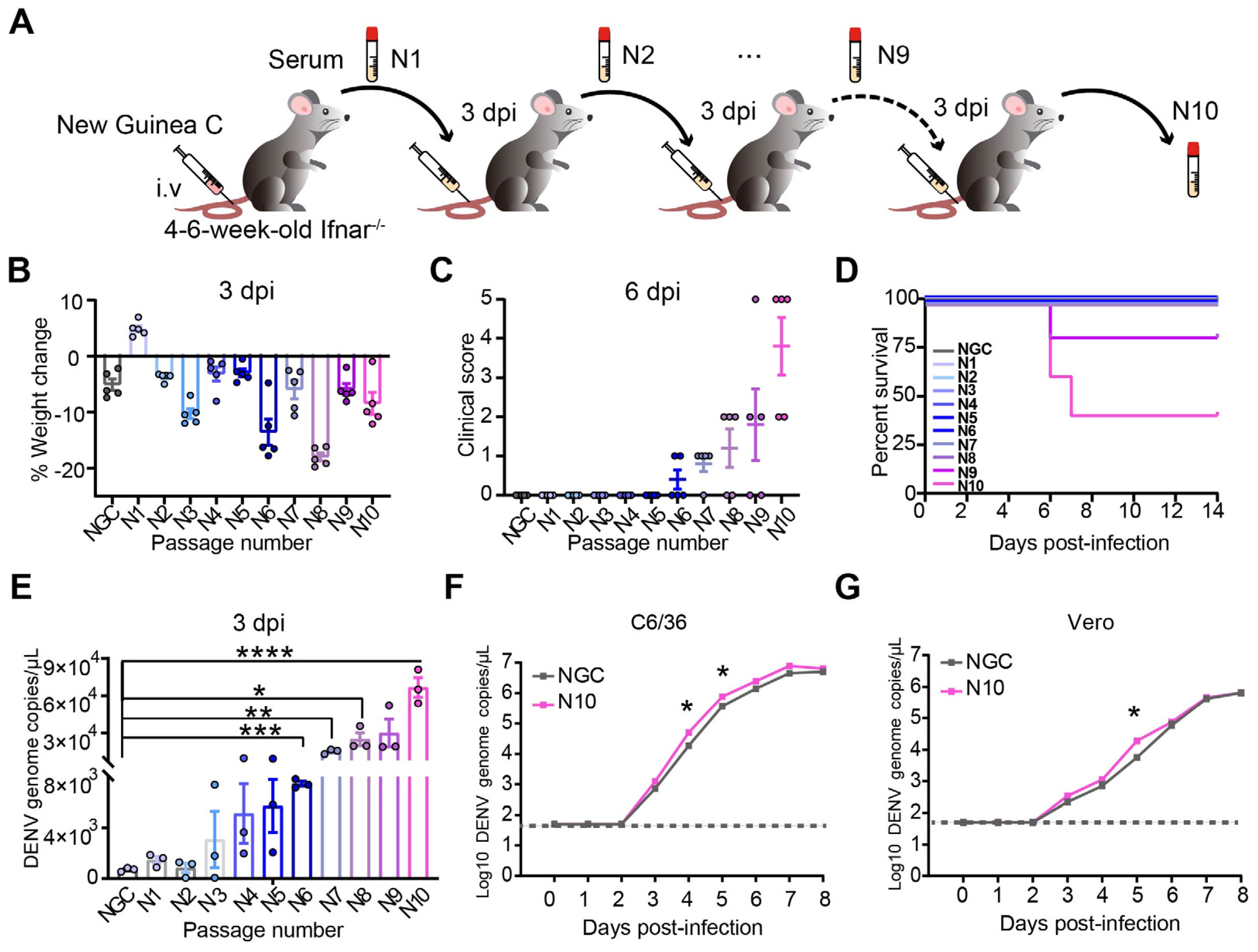 Viruses 16 01779 g001