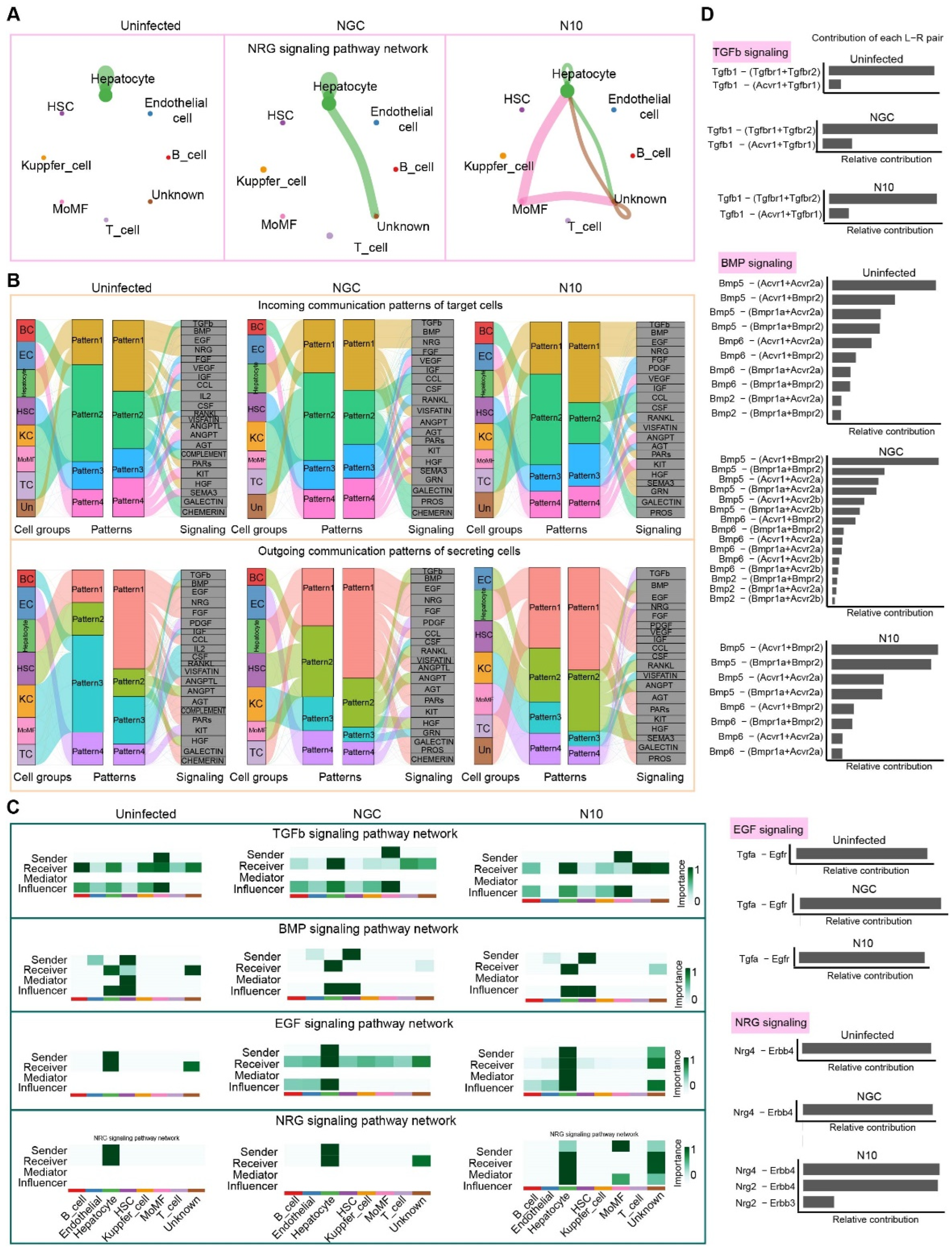Viruses 16 01779 g006