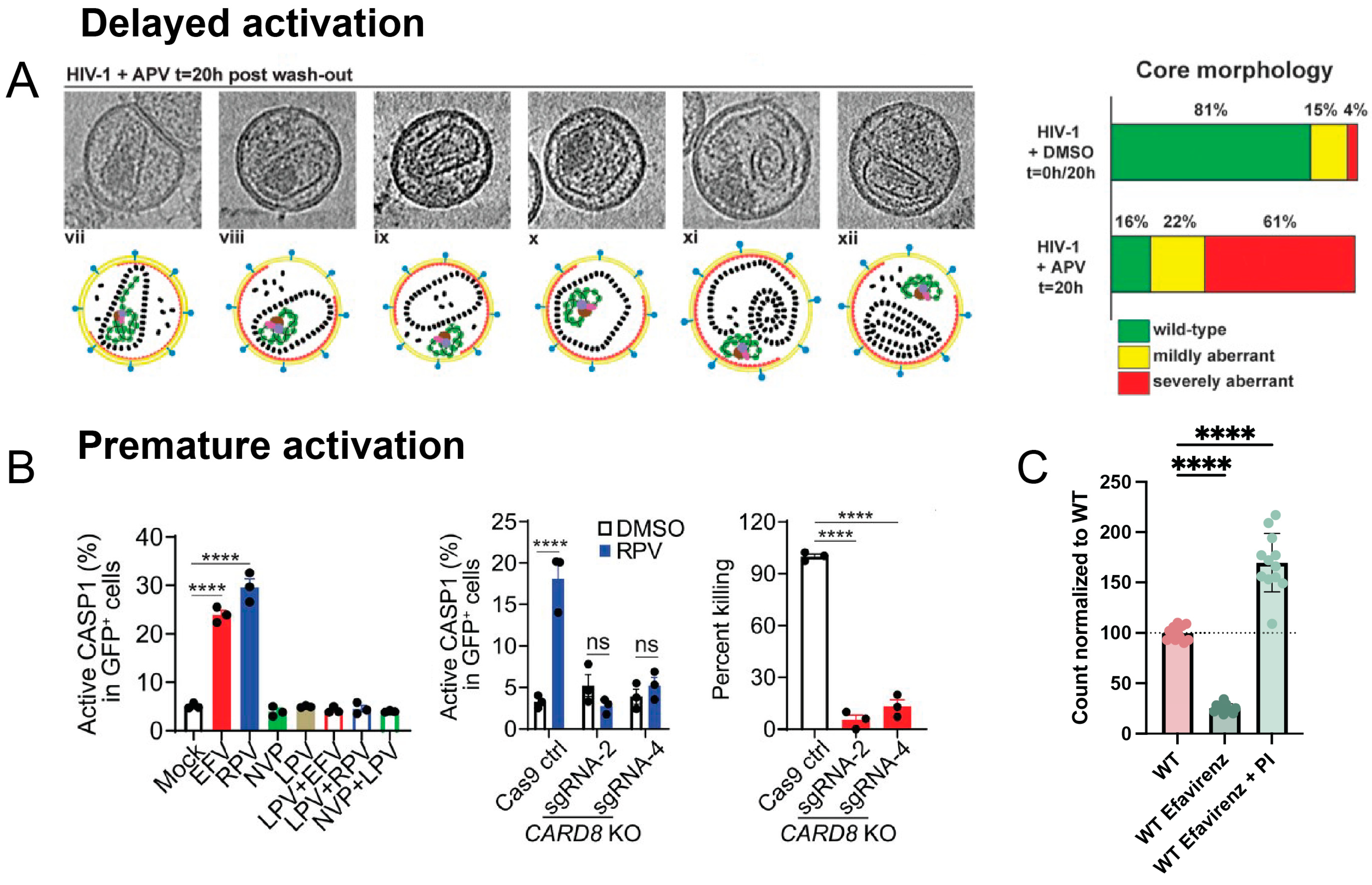 Viruses 16 01826 g005